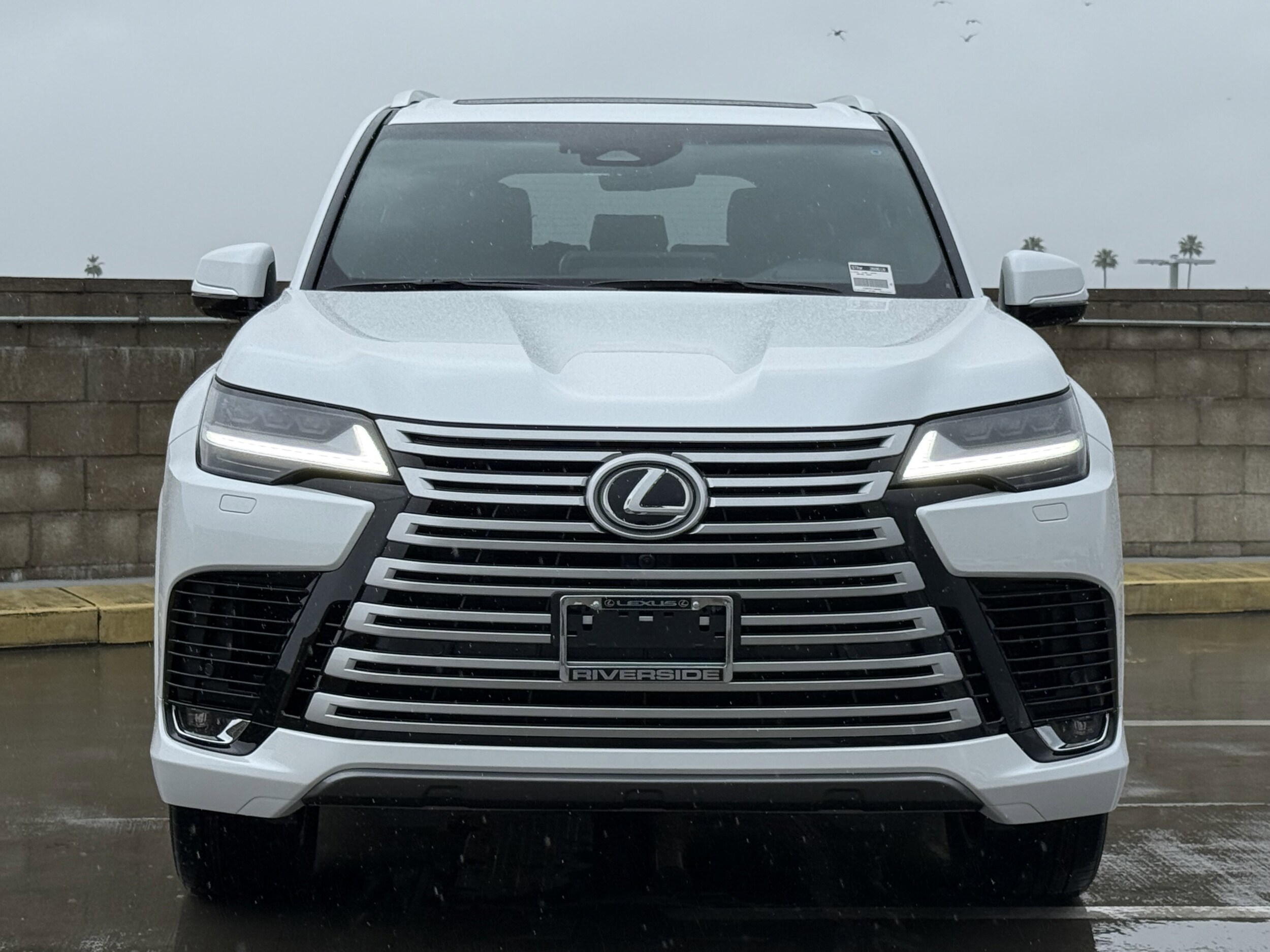 2026 Lexus LX 600 Luxury - Photo 6