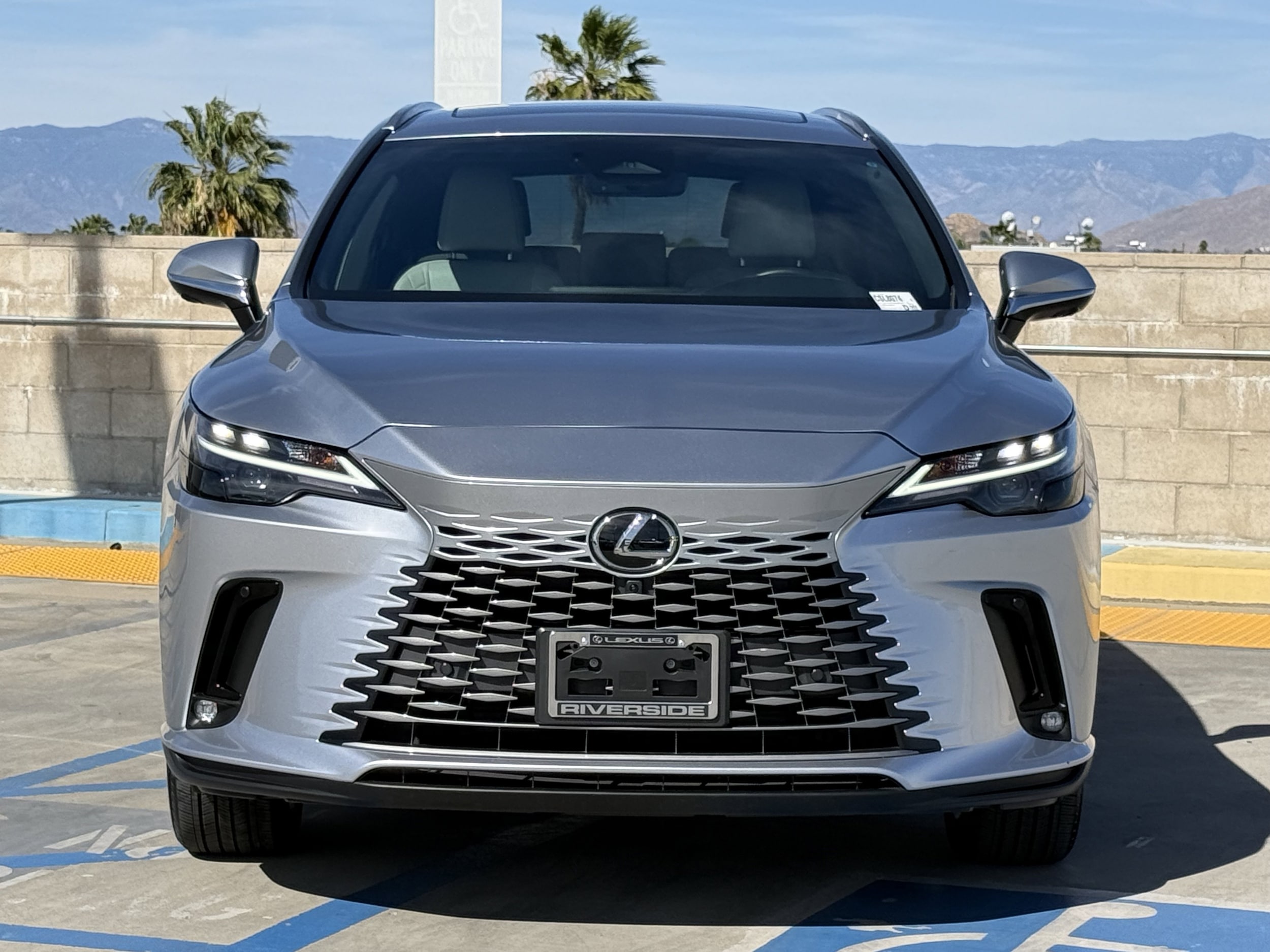 2025 LEXUS RX 350h Premium photo 5