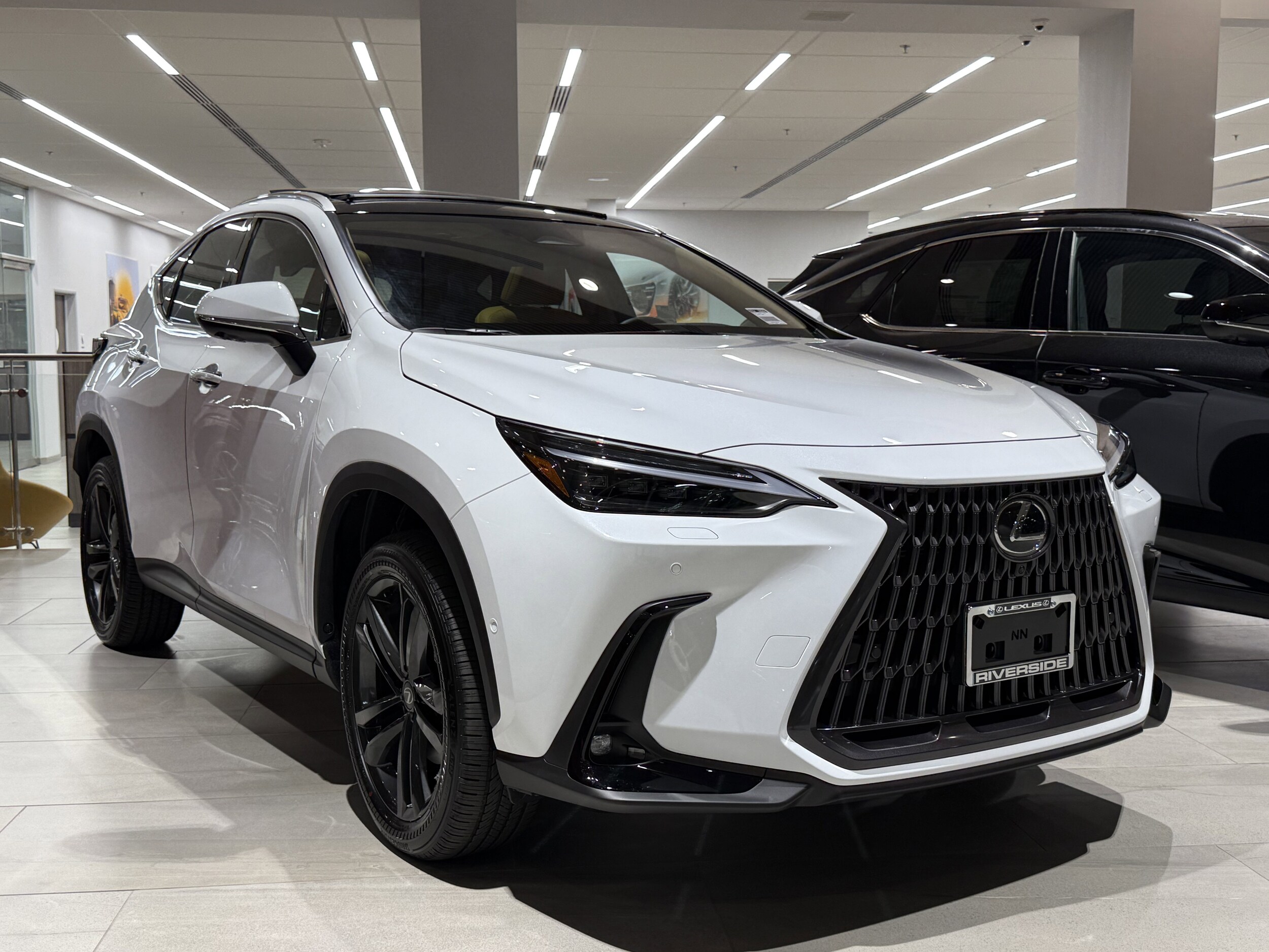 2026 Lexus NX Luxury AWD photo 2