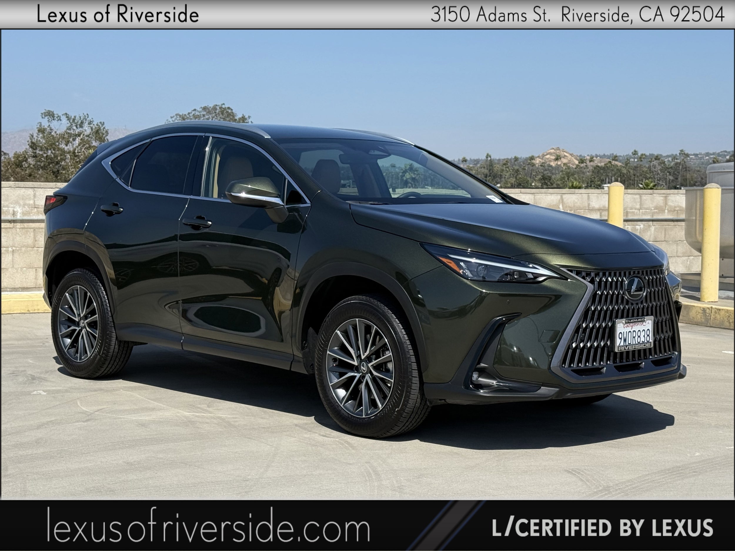 2026 Lexus NX 350 350 AWD's photo