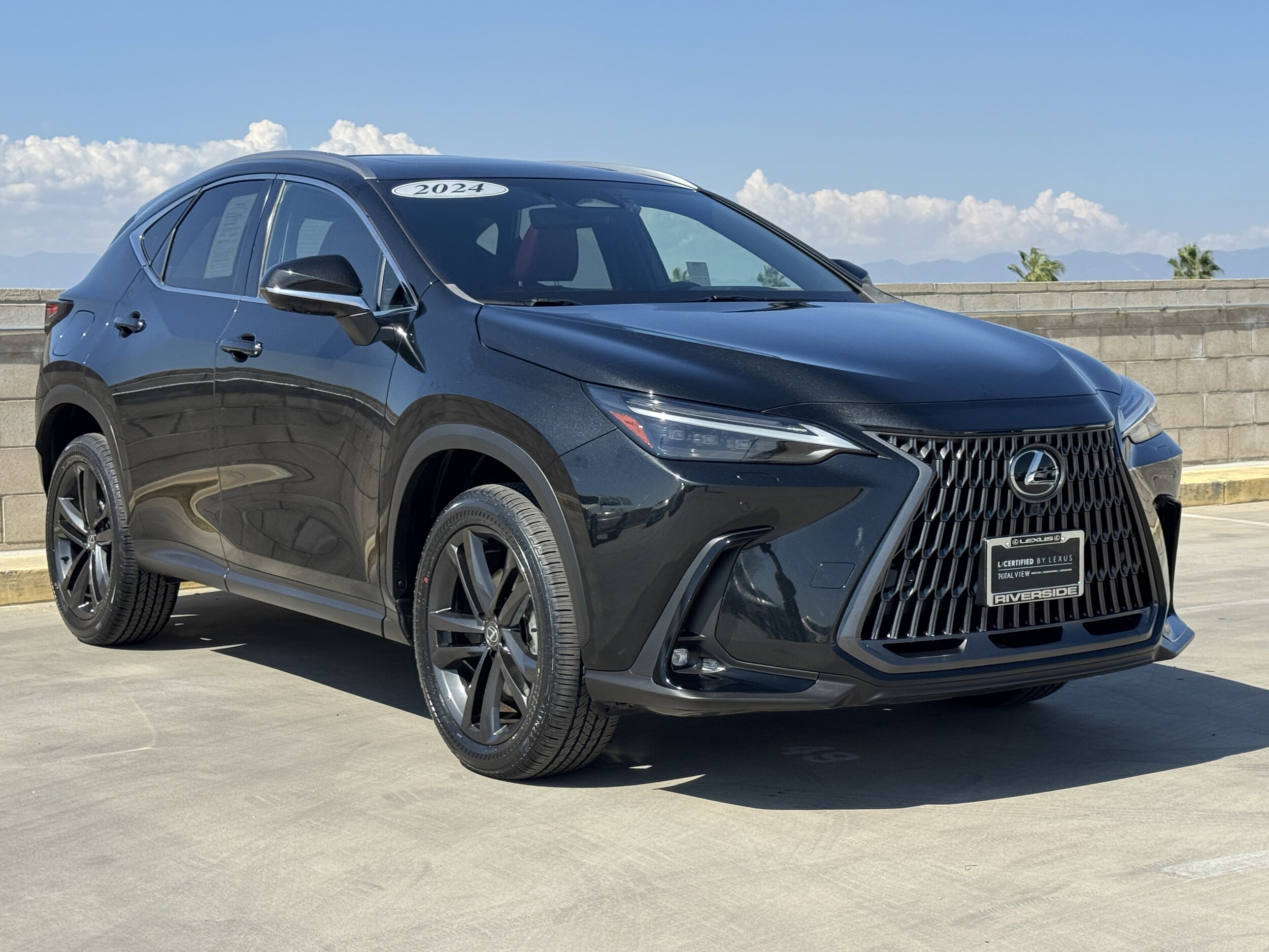 2024 Lexus NX 450h+ Luxury photo 2
