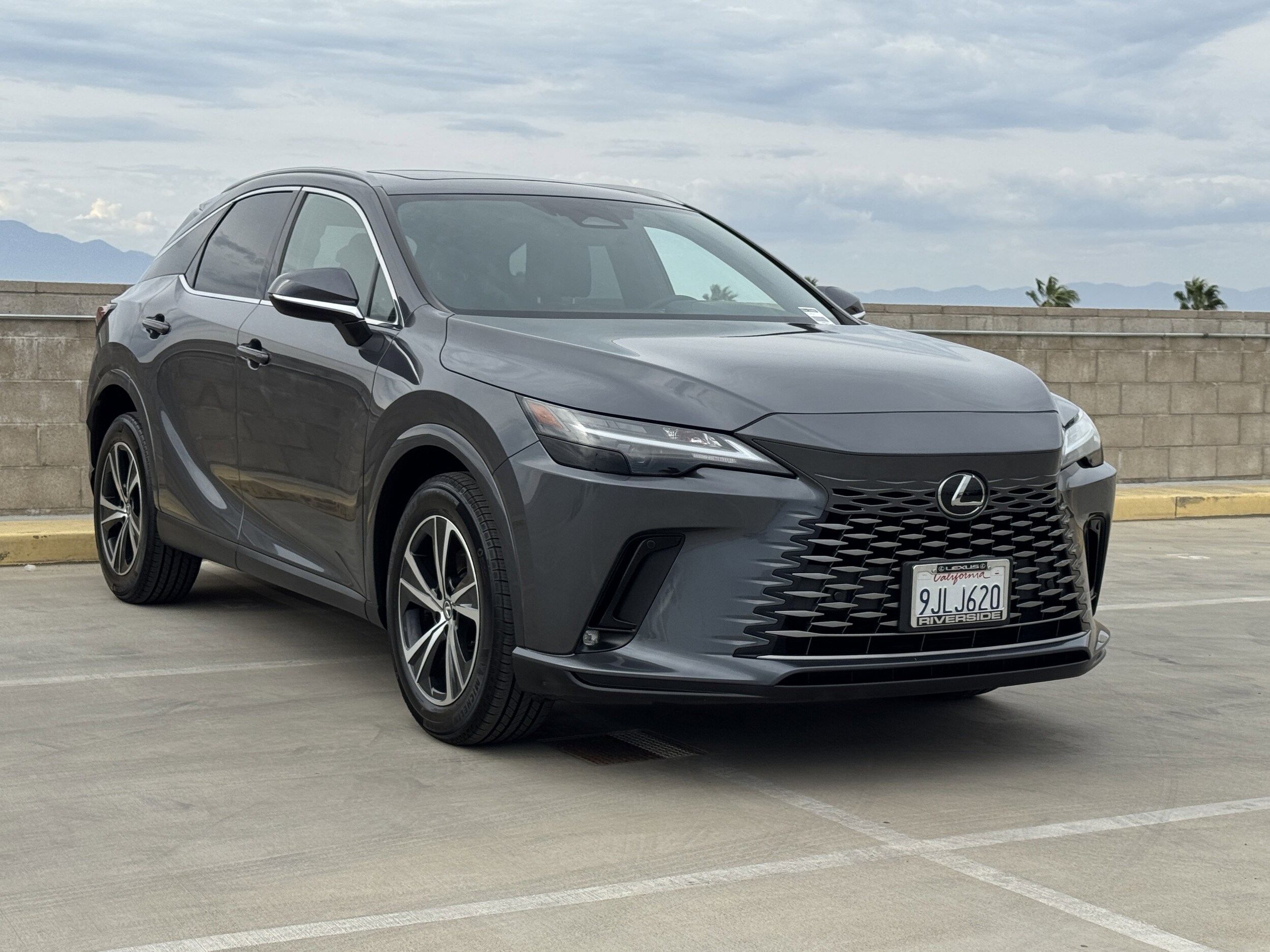 2024 Lexus RX 350 photo 2