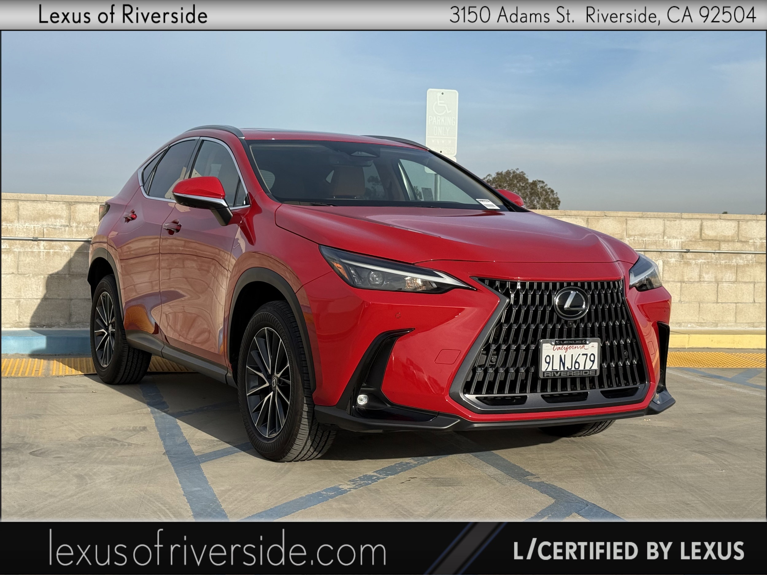2024 Lexus NX 350