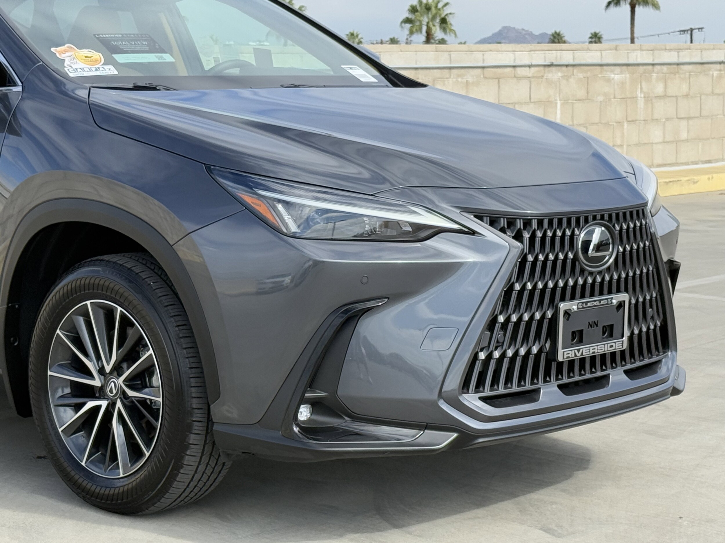 2025 Lexus NX 250 photo 3