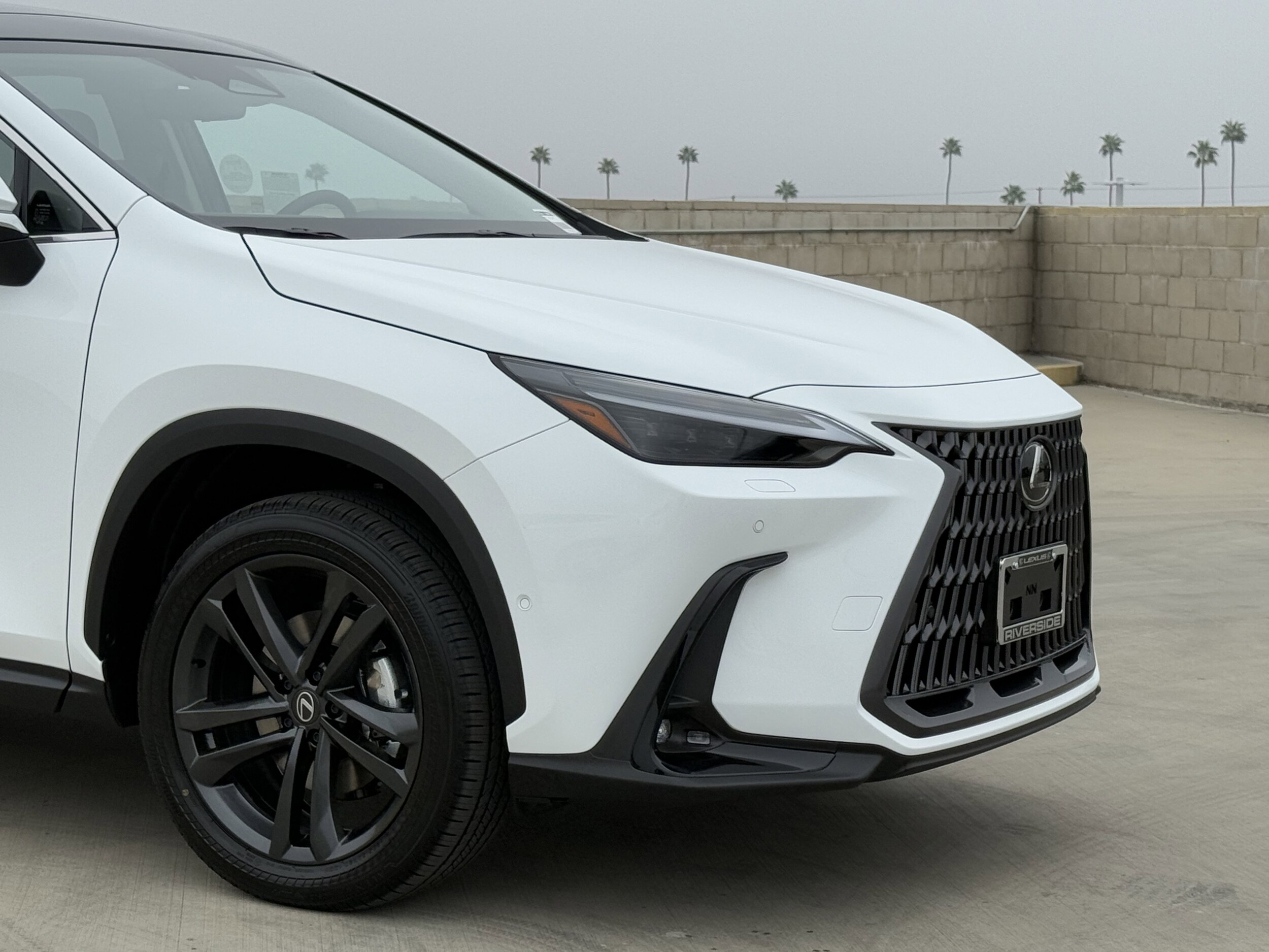 2026 Lexus NX Luxury AWD photo 2
