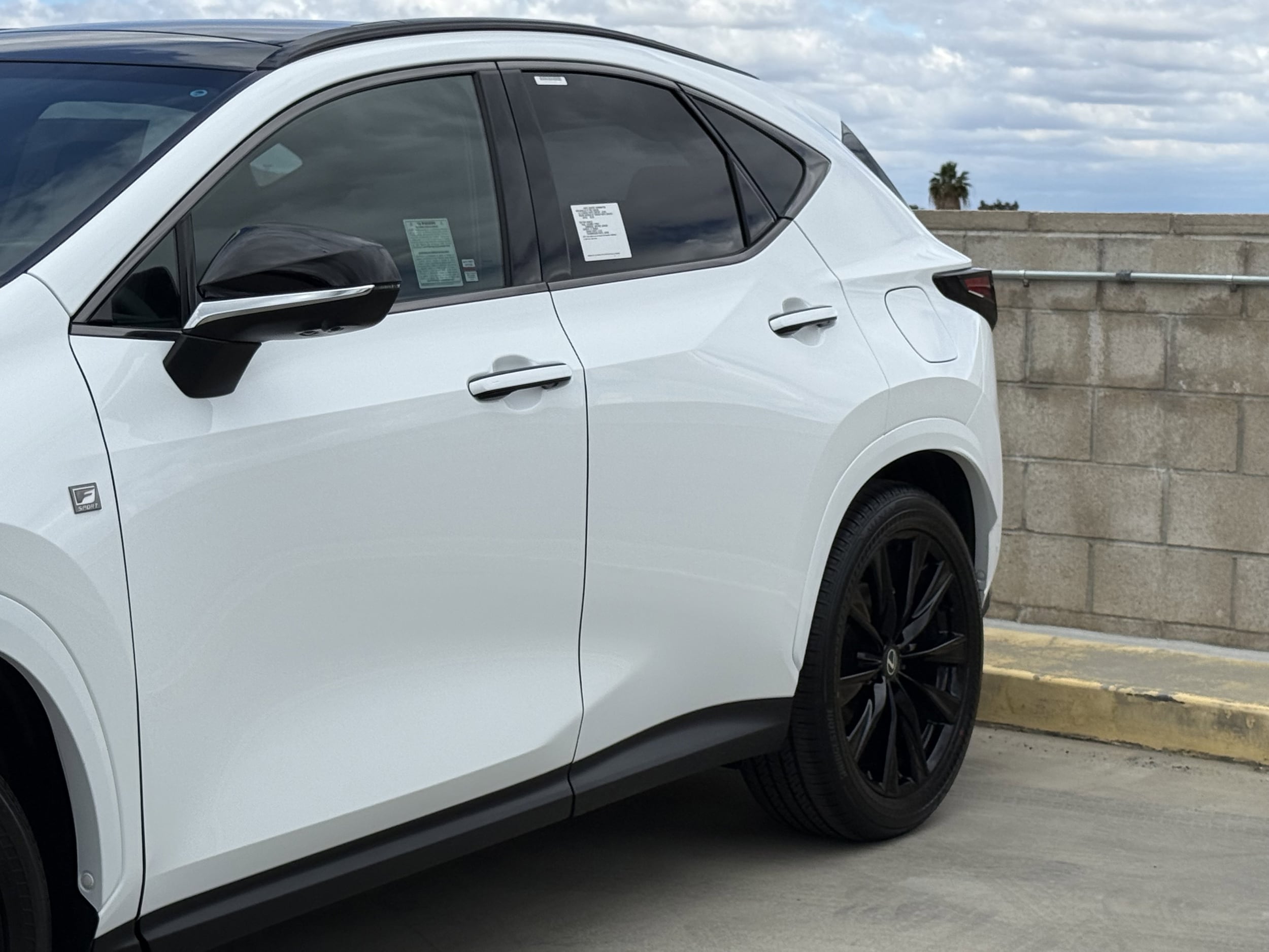 2026 Lexus NX 350h F-Sport - Photo 8