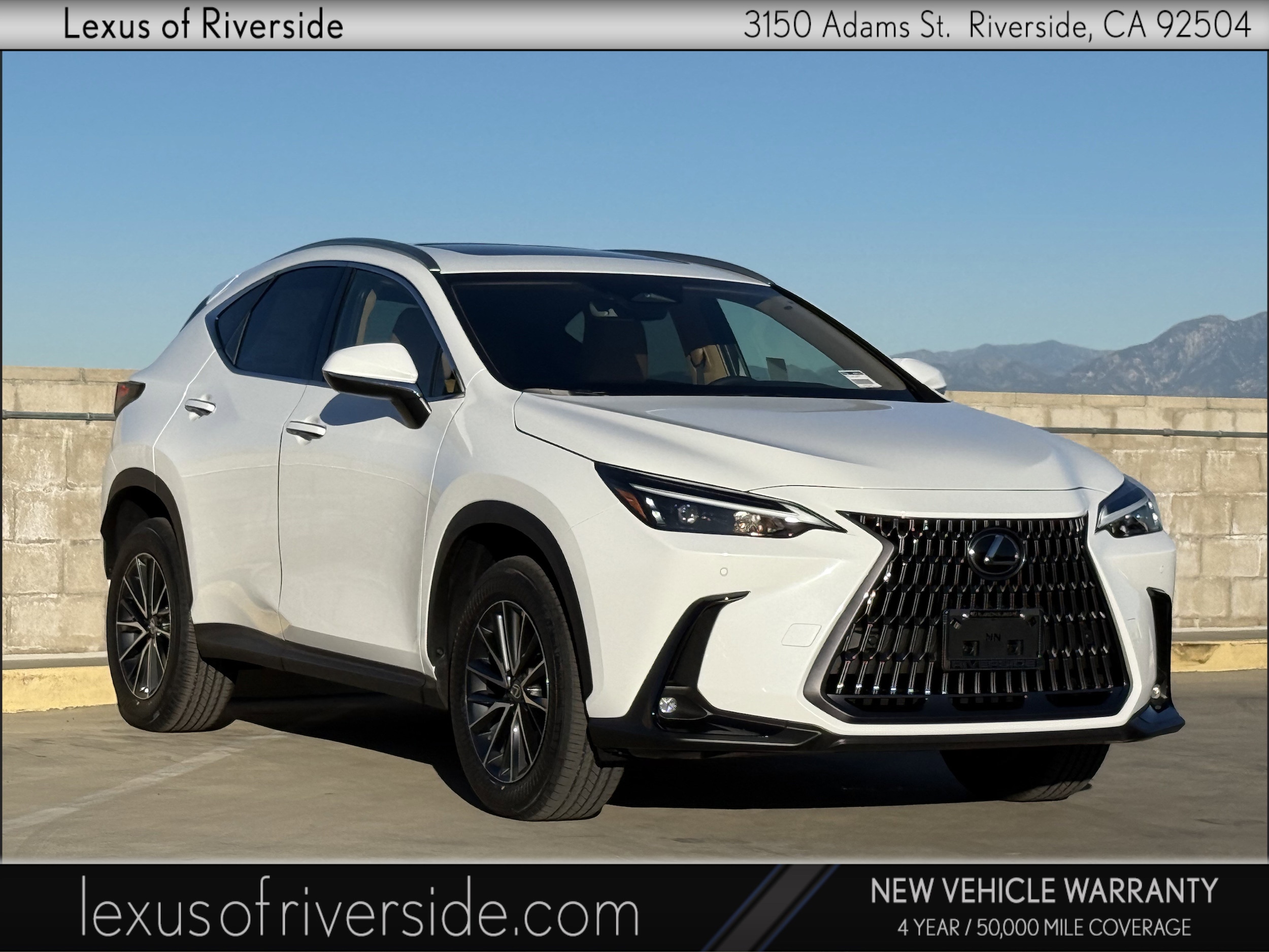 2026 Lexus NX 350's photo