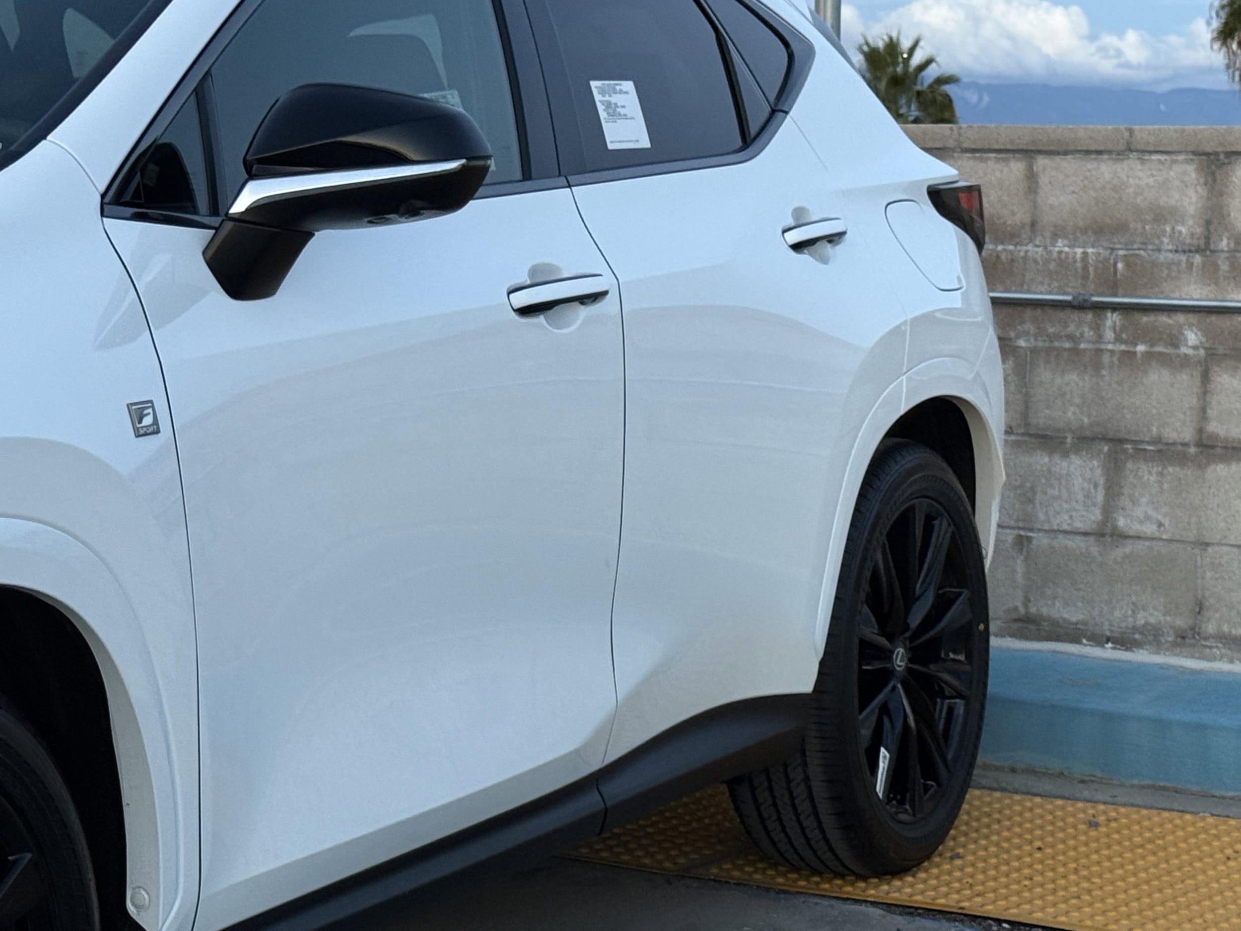 2026 Lexus NX 350h F-Sport - Photo 8