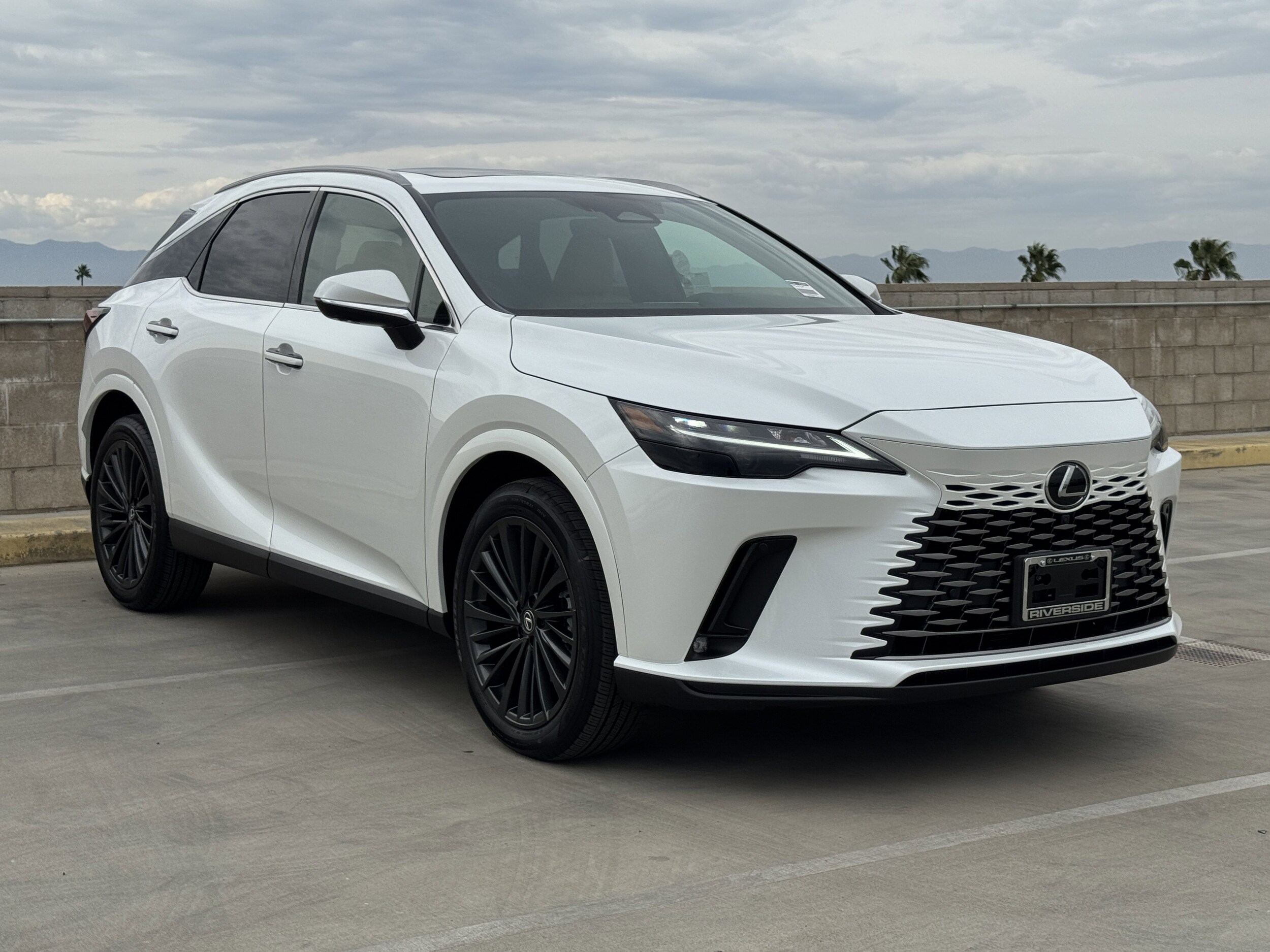 2025 Lexus RX 350 Premium photo 2