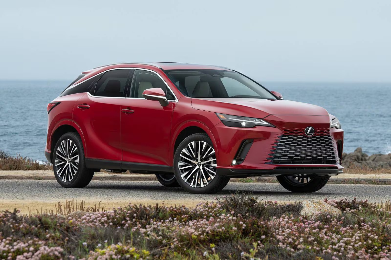2026 Lexus RX and Audi Q5 value and ownership comparison