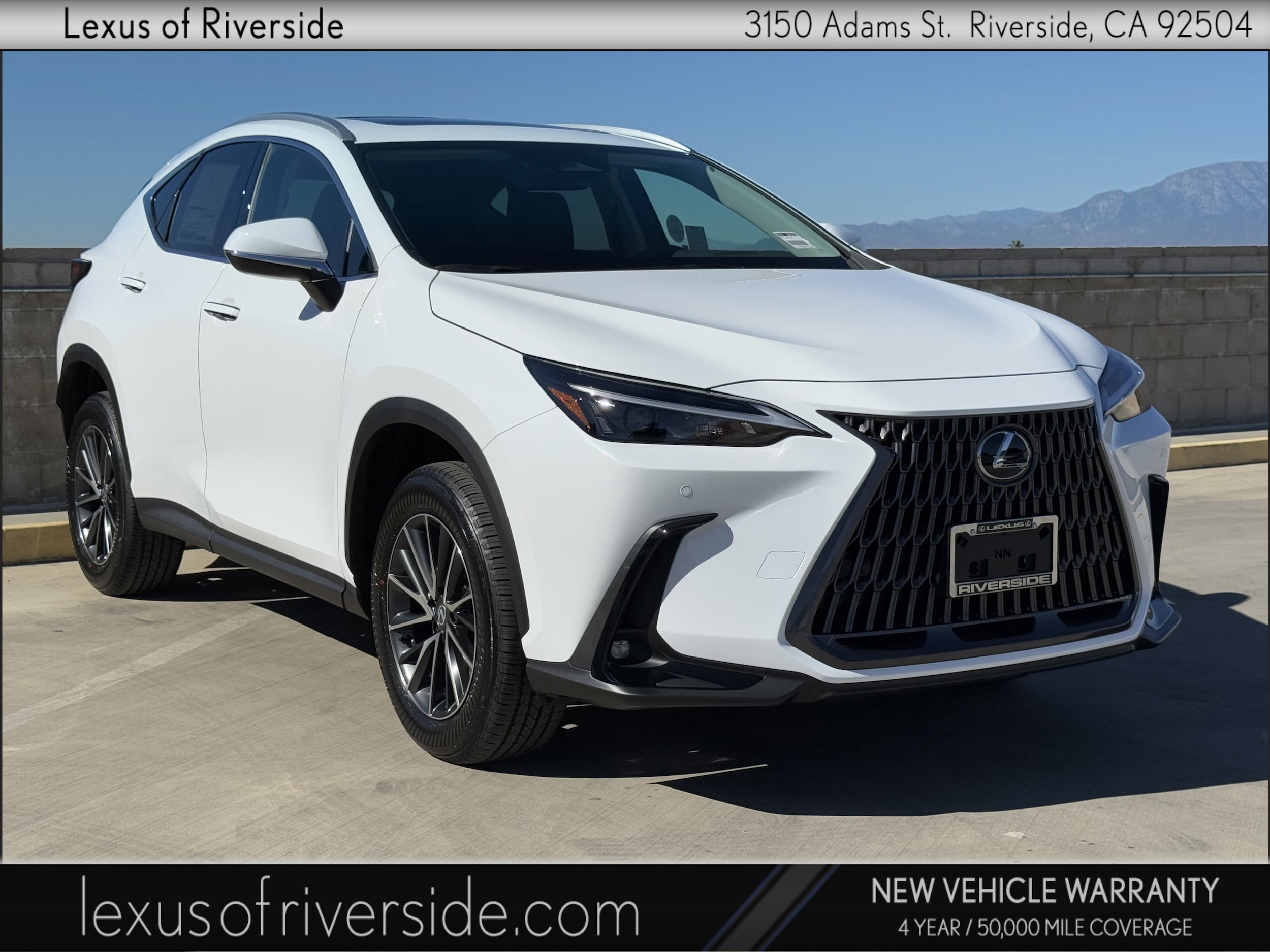 2026 Lexus NX 350's photo