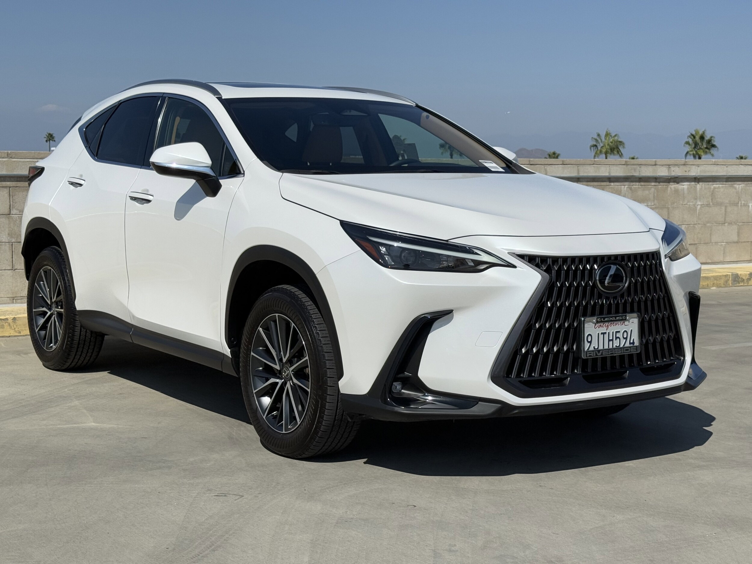 2024 Lexus NX 250 photo 2