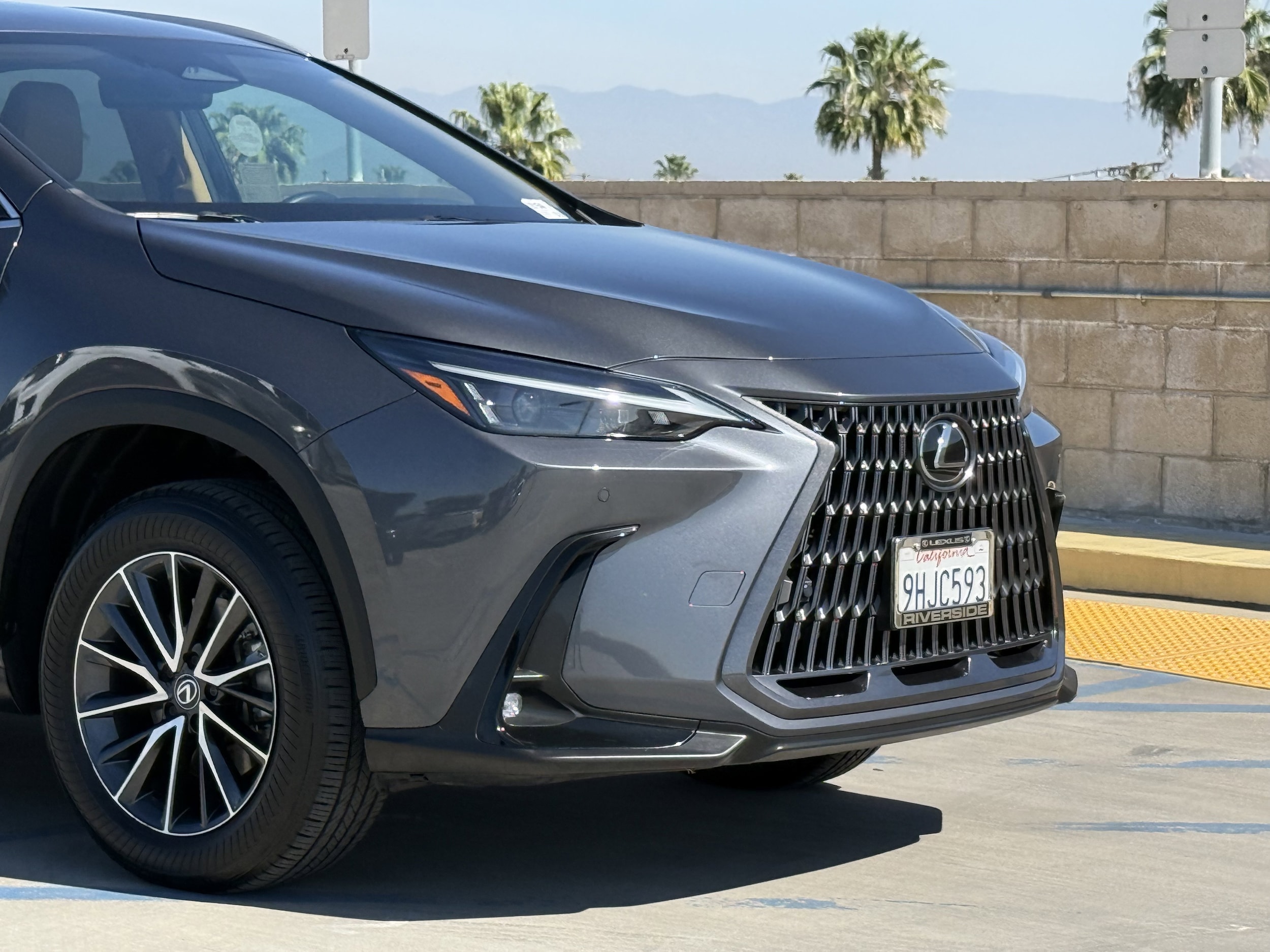 2024 LEXUS NX 350 Premium photo 2