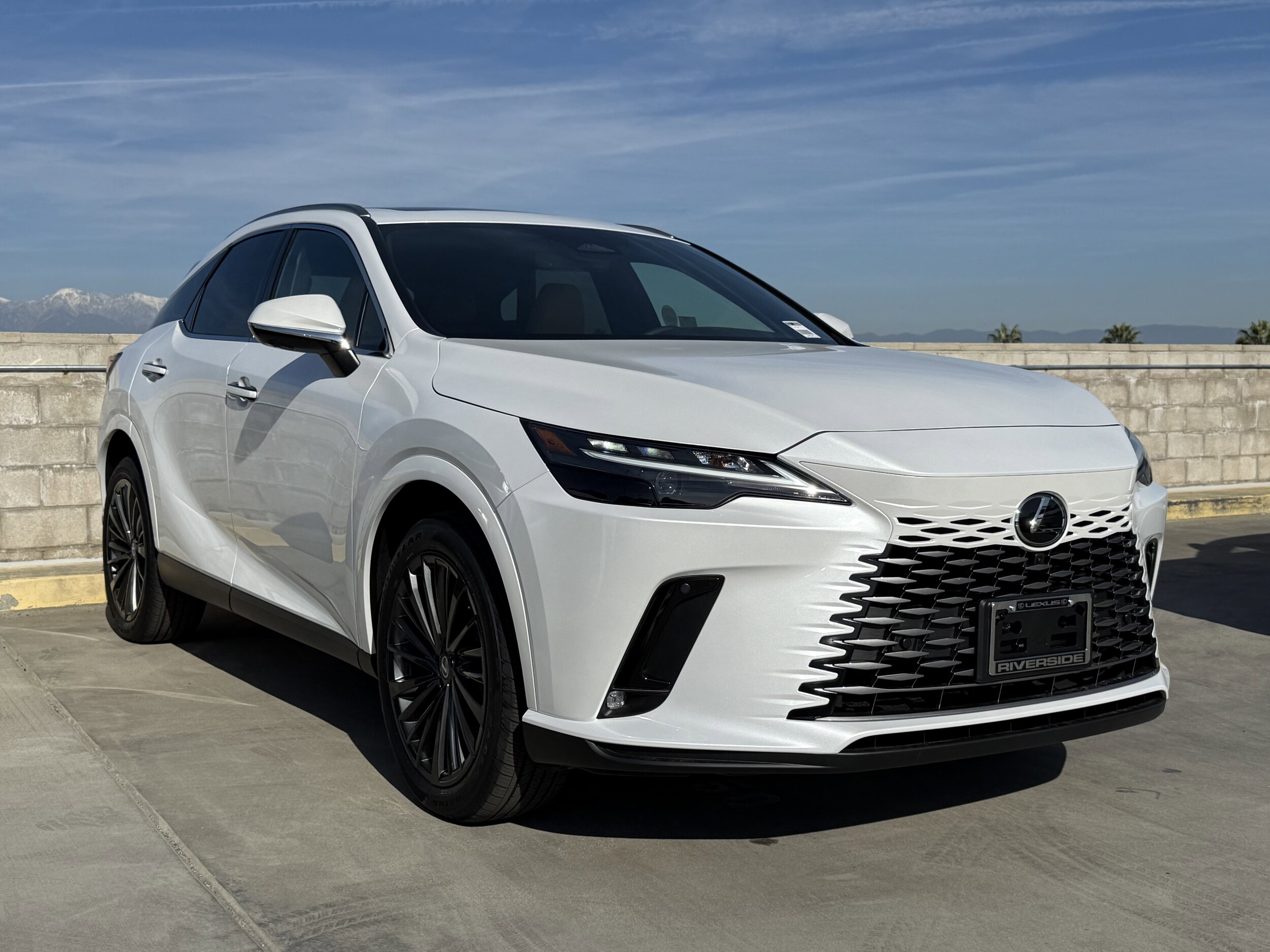 2026 Lexus RX 350 Premium photo 2