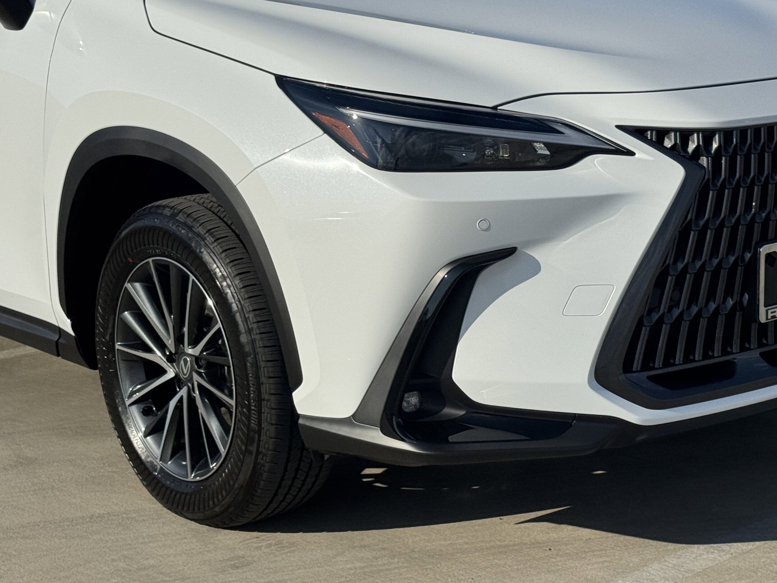 2026 Lexus NX 350h Premium photo 4