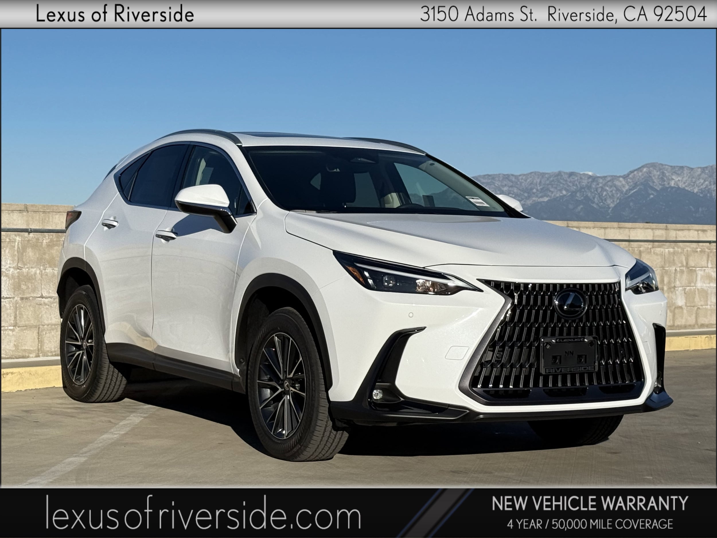 2026 Lexus NX 350's photo