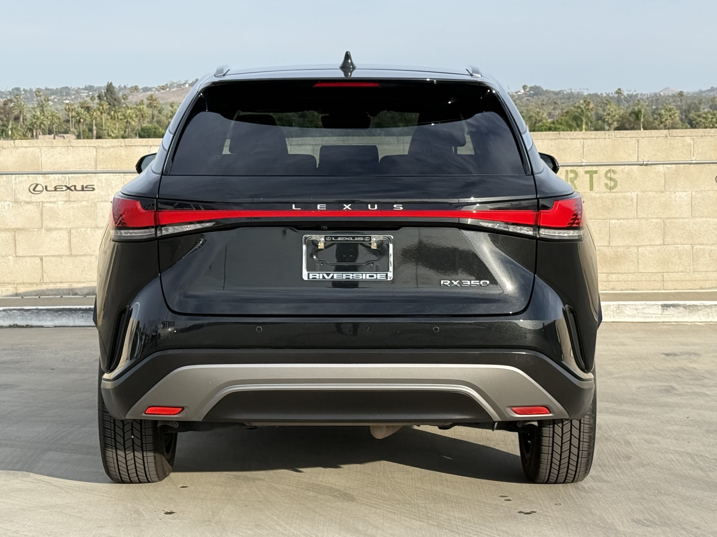 2024 Lexus RX 350 - Photo 10