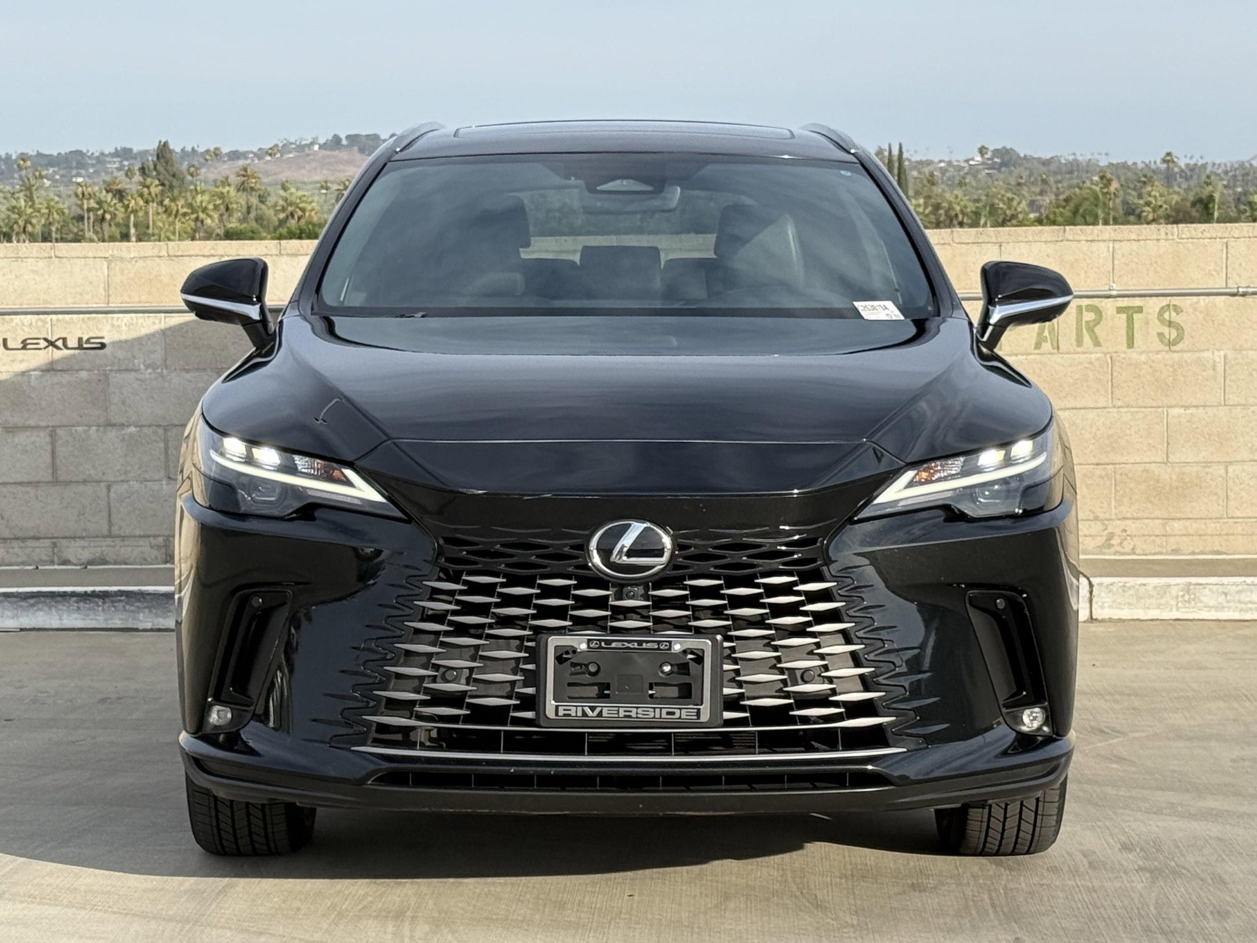 2024 Lexus RX 350 - Photo 6