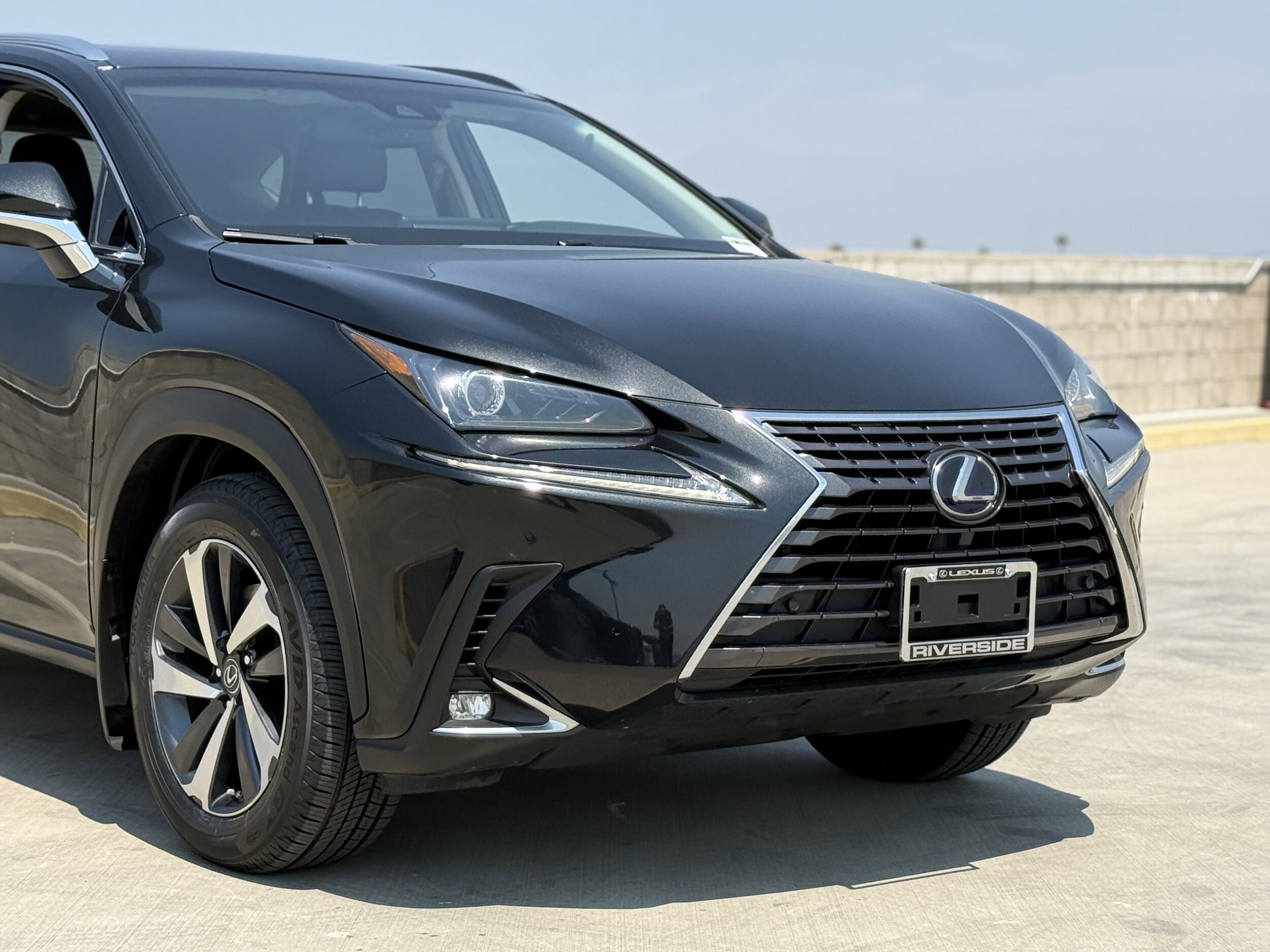 2018 Lexus NX 300h Luxury photo 3