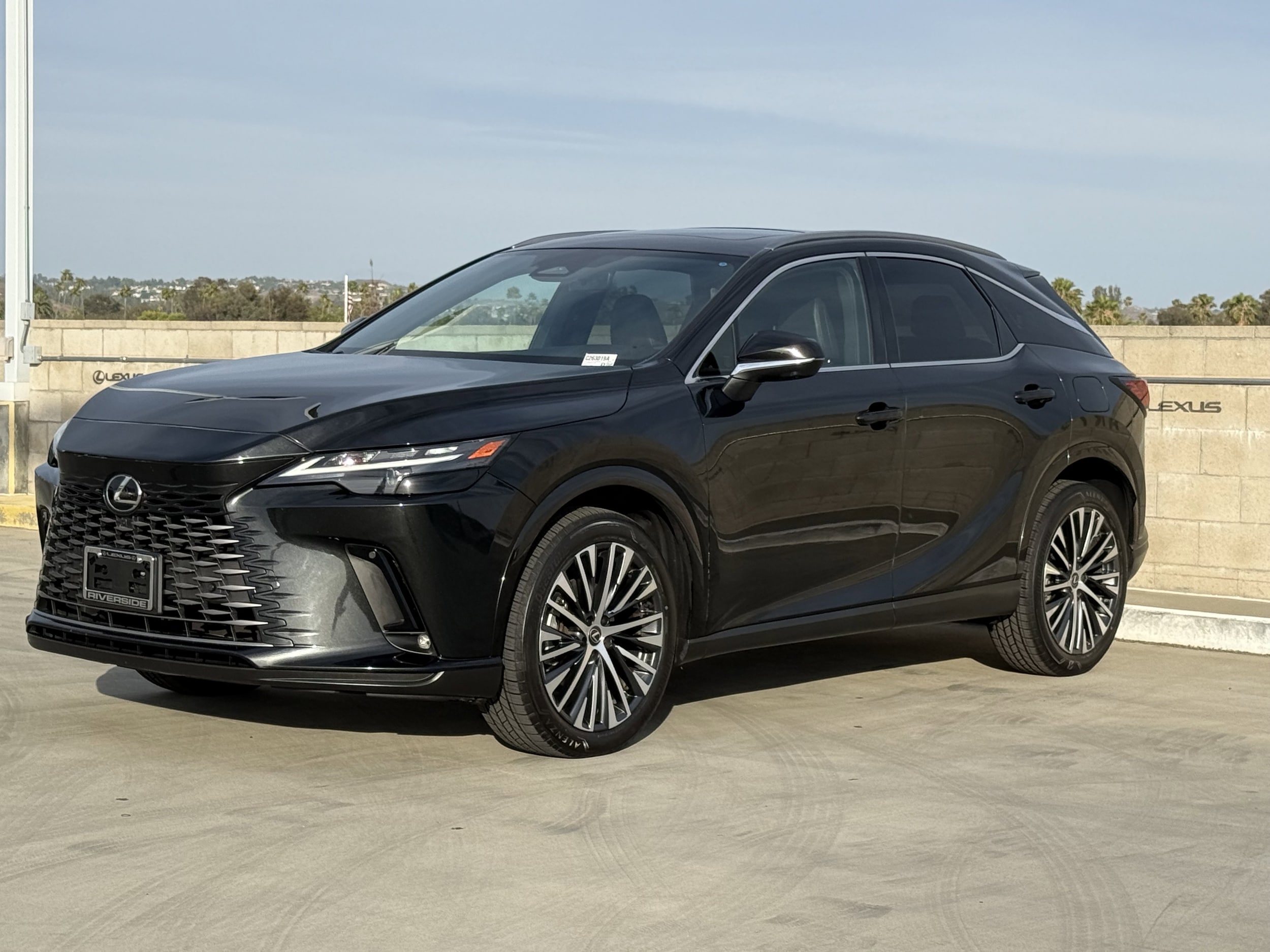 2024 Lexus RX 350 - Photo 7