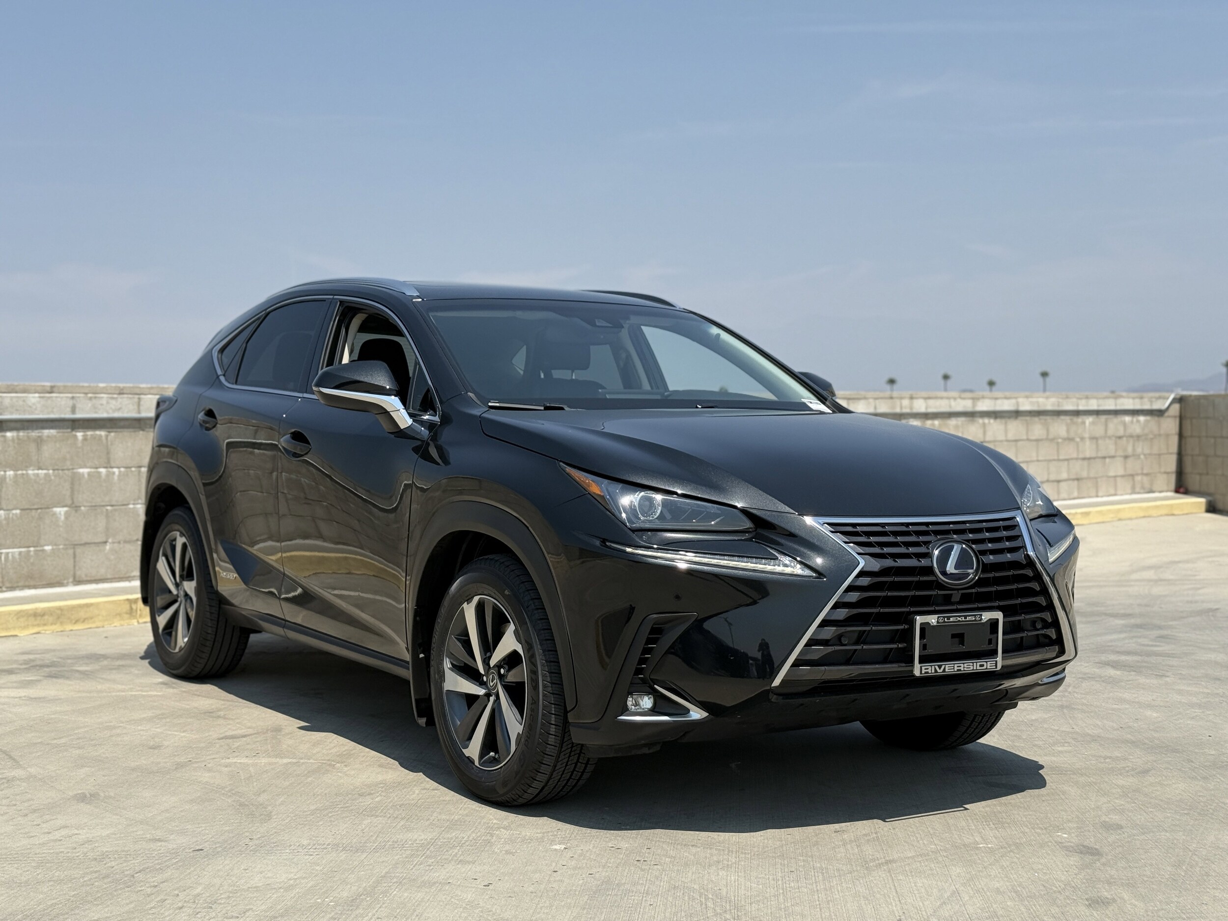 2018 Lexus NX 300h Luxury photo 2