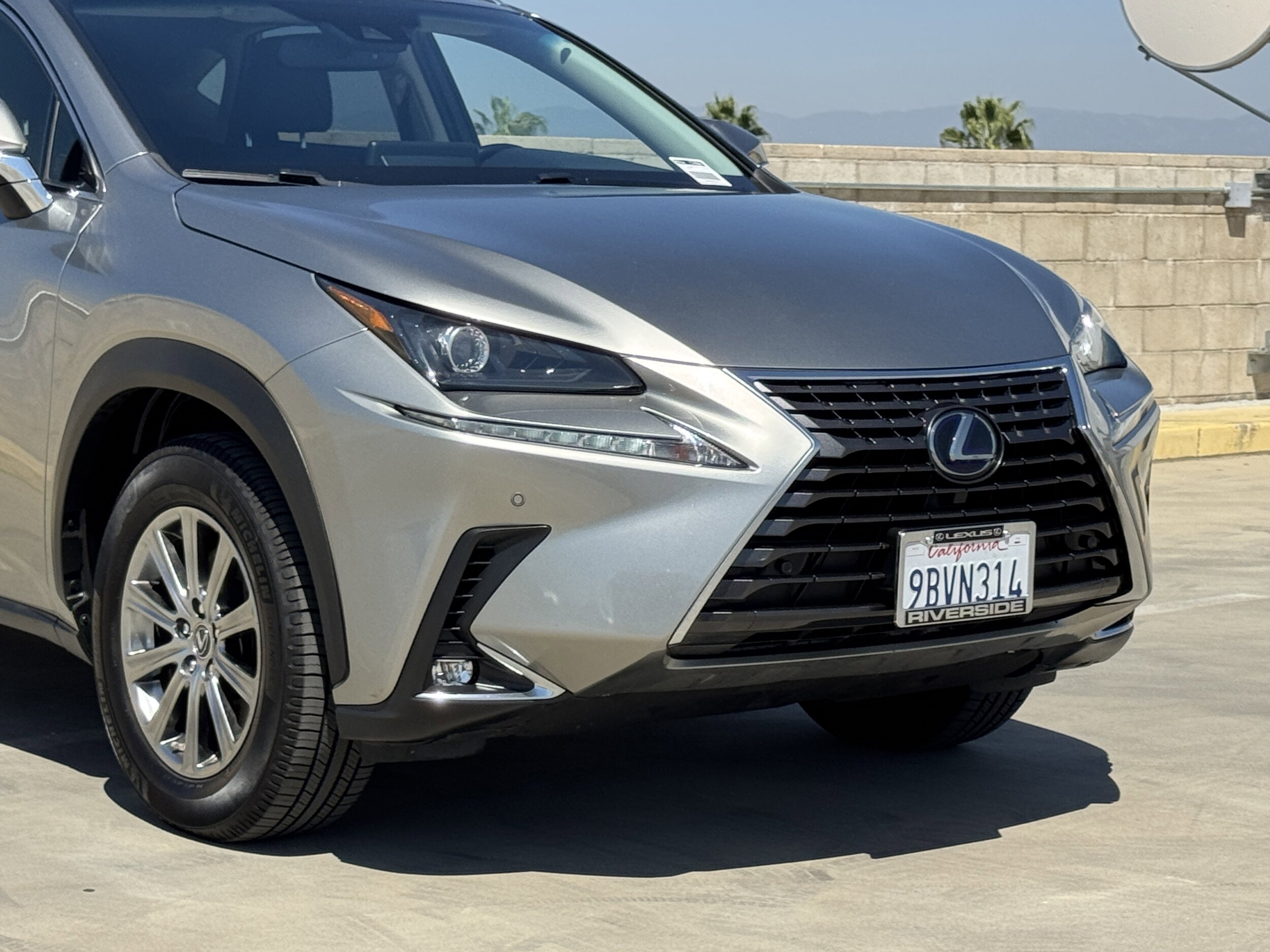 2019 Lexus NX 300h Luxury photo 3
