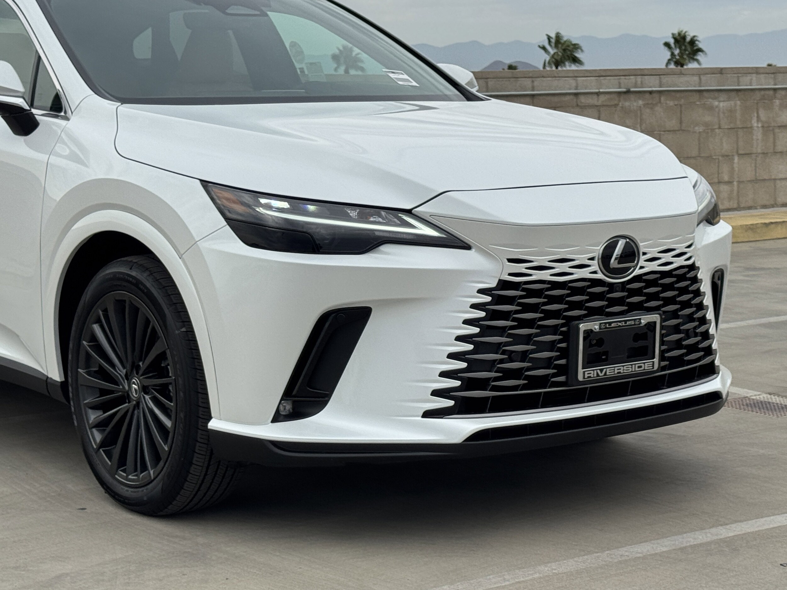 2025 Lexus RX 350 Premium photo 3
