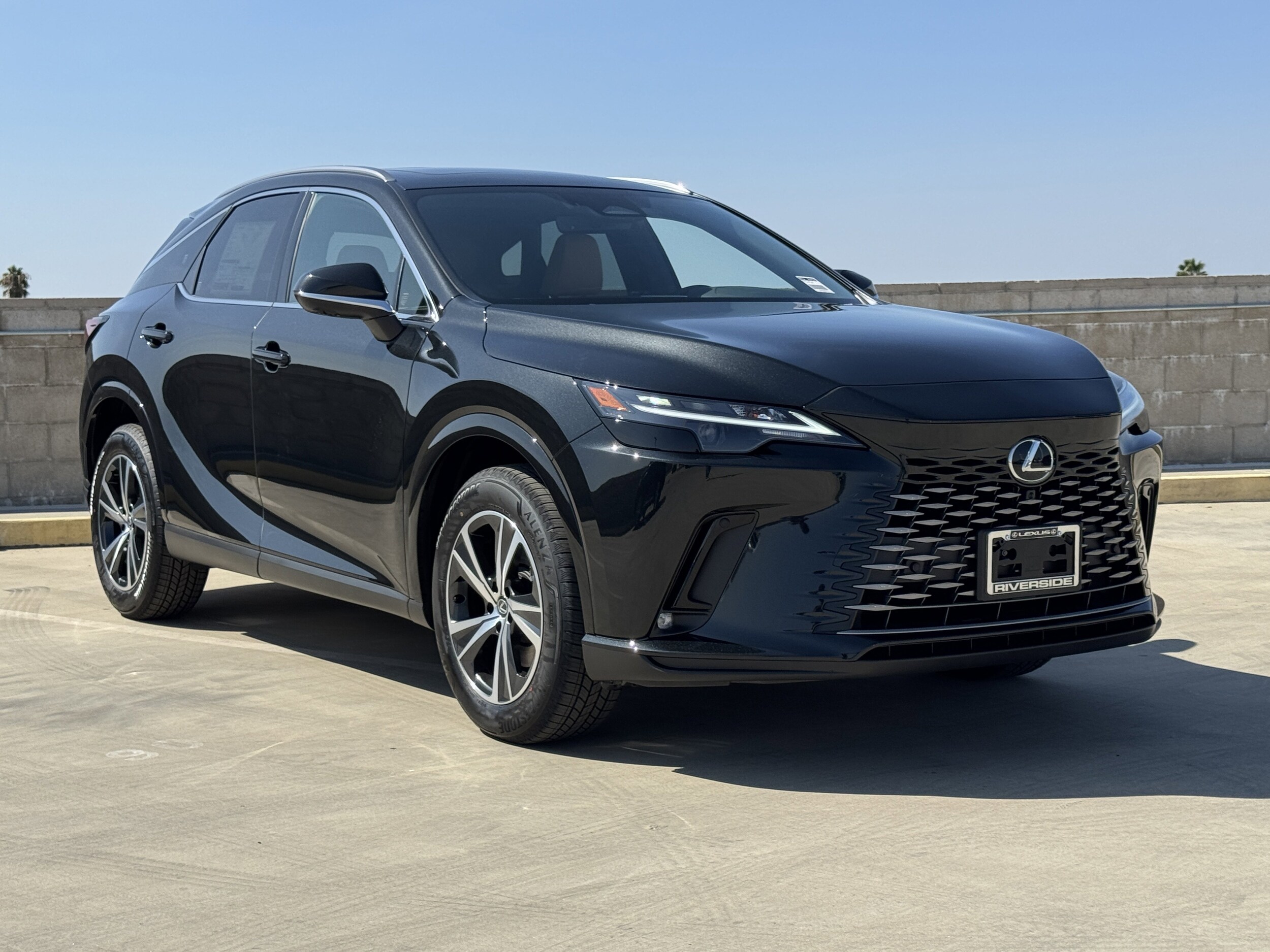 2025 Lexus RX 350 Premium photo 2