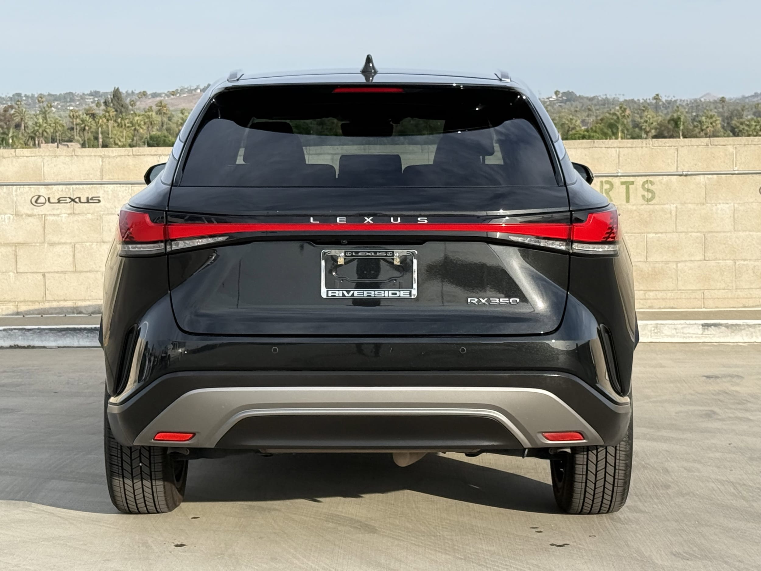 2024 Lexus RX 350 - Photo 10