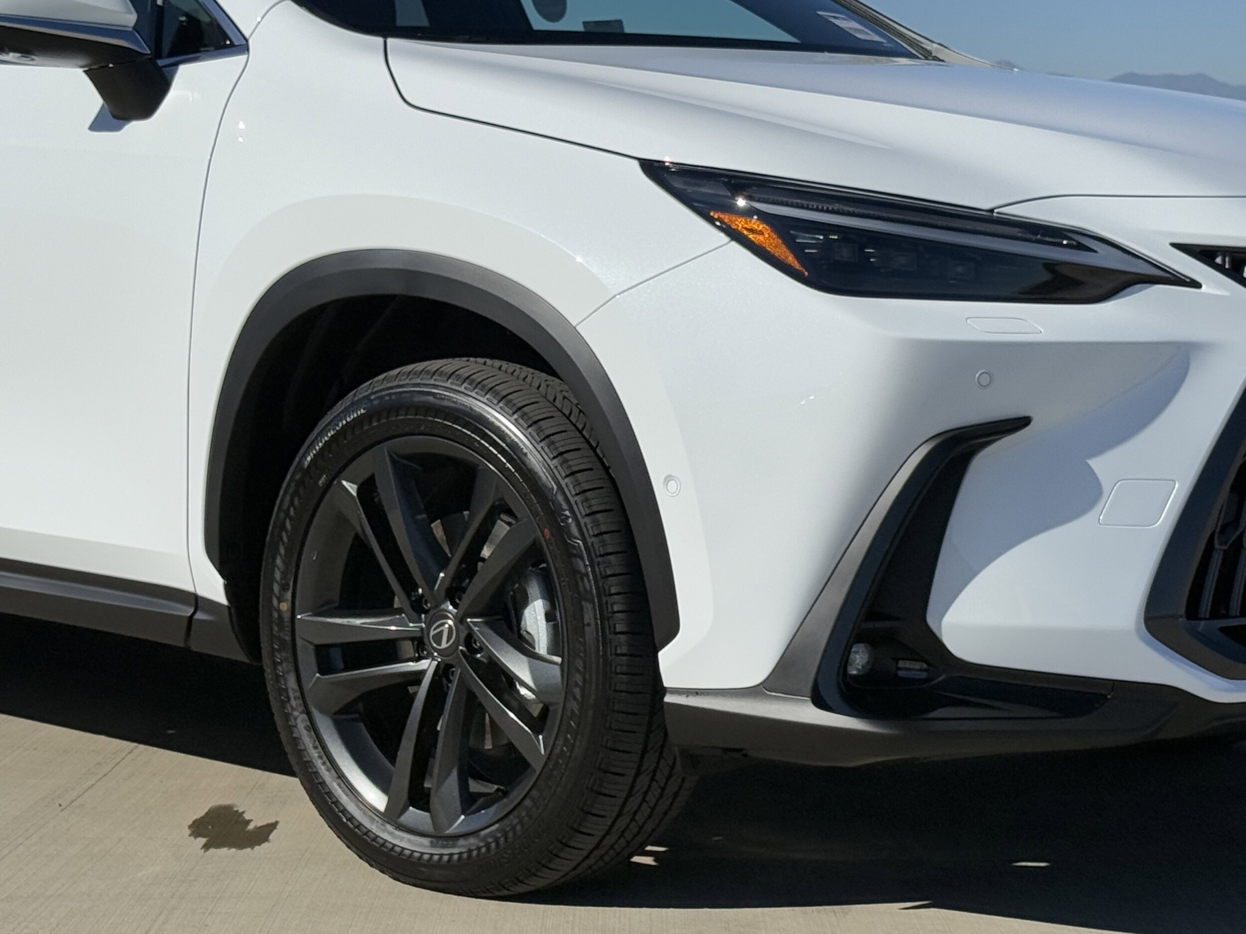 2026 Lexus NX Luxury AWD photo 4