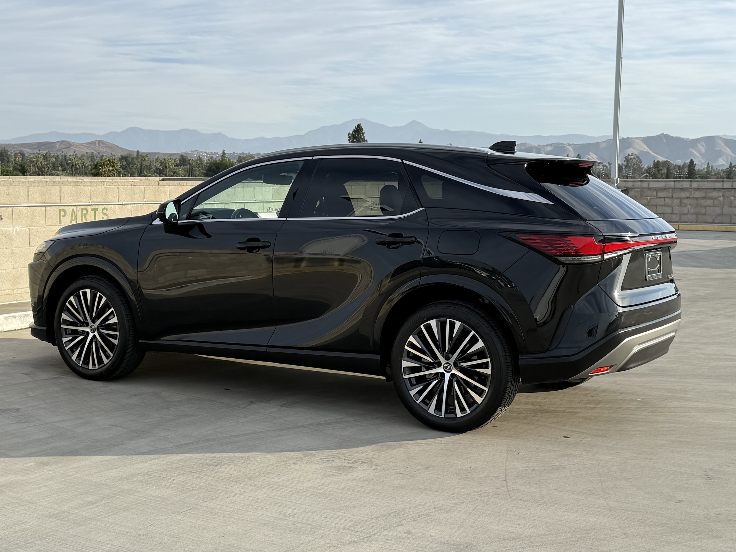 2024 Lexus RX 350 - Photo 9