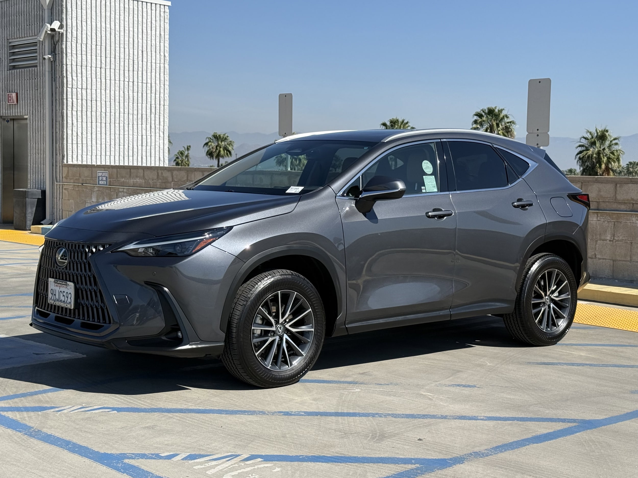 2024 LEXUS NX 350 Premium photo 6
