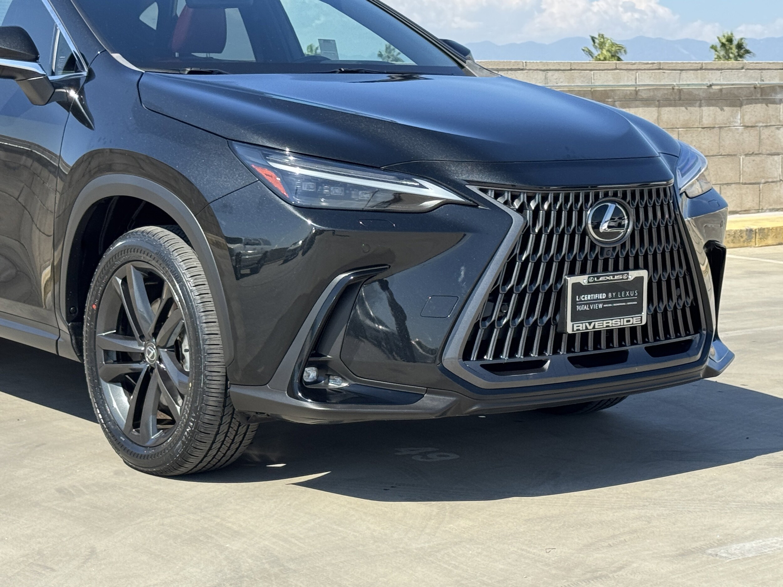 2024 Lexus NX 450h+ Luxury photo 3