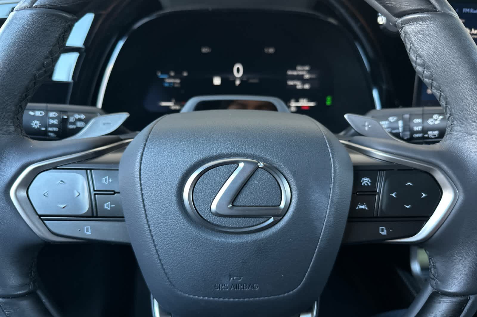 Thumbnail: 2025 Lexus RX - 25