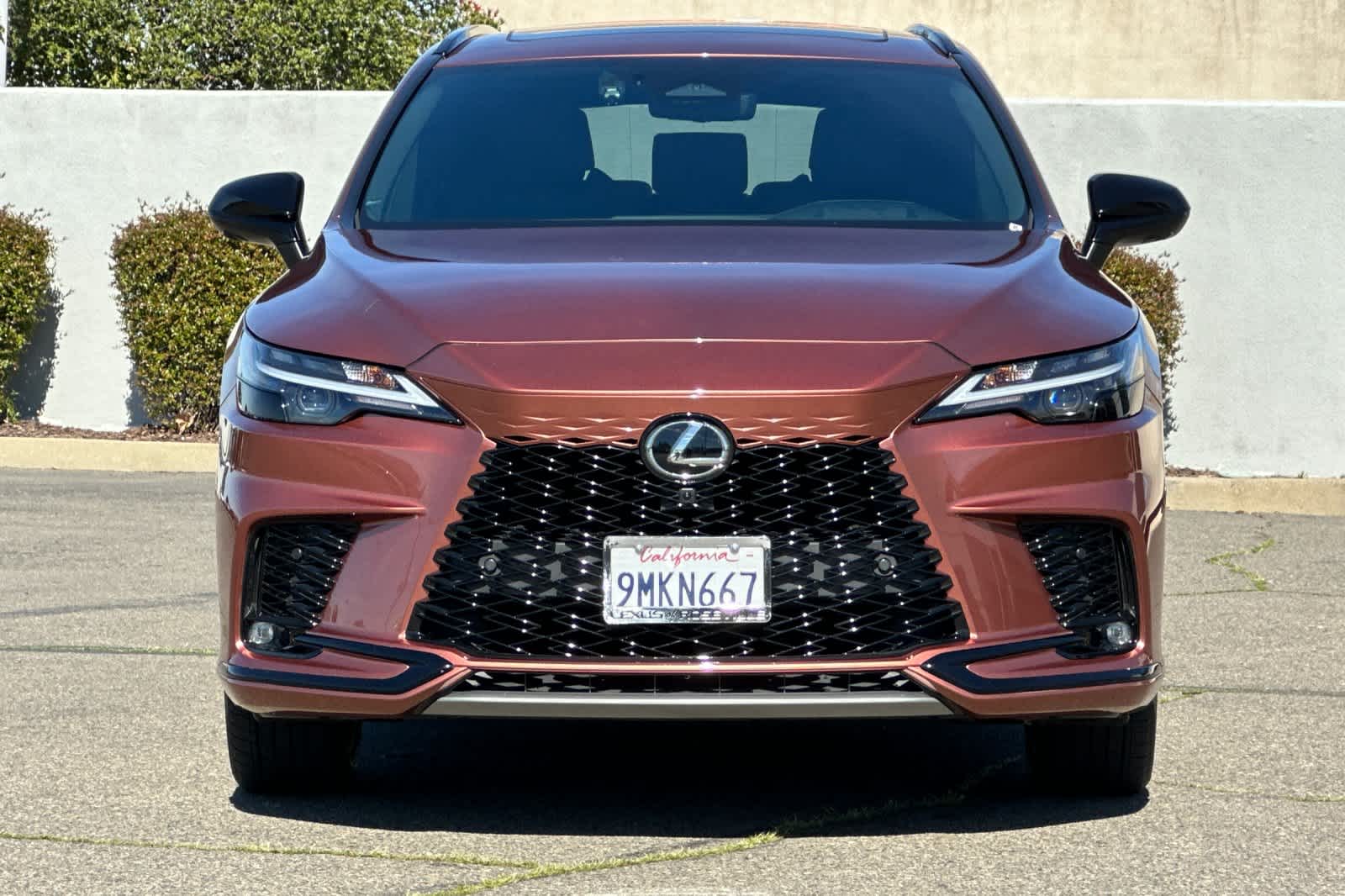 Thumbnail: 2024 Lexus RX - 10