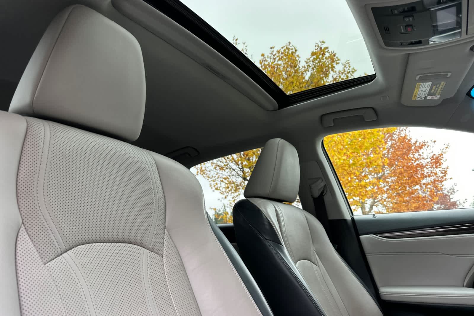 Thumbnail: 2019 Lexus RX - 18