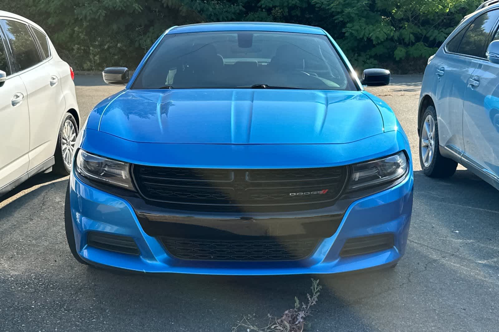Thumbnail: 2019 Dodge Charger - 6
