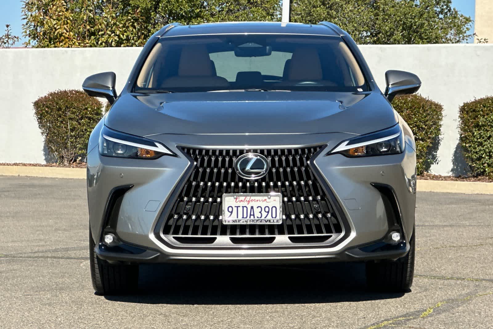 Thumbnail: 2025 Lexus NX - 10