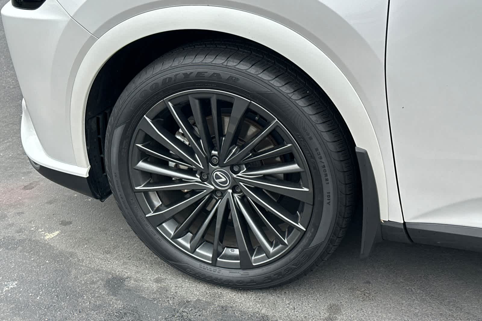 Thumbnail: 2025 Lexus RX - 22