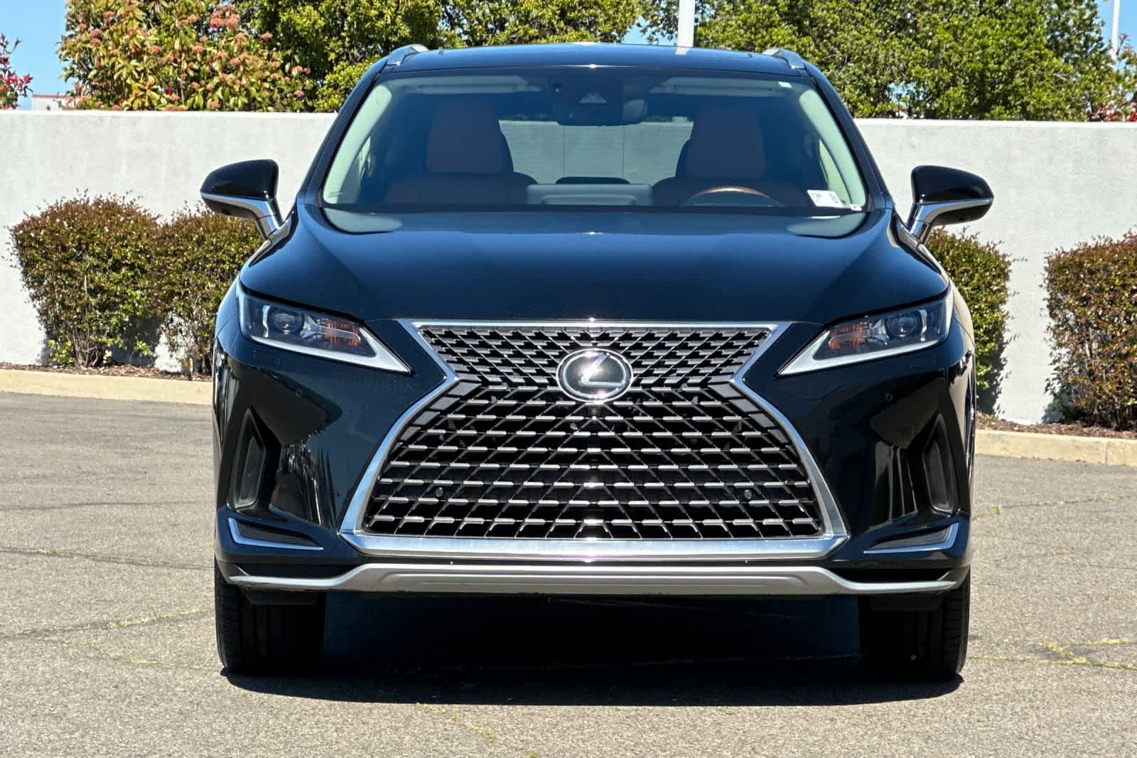 Thumbnail: 2022 Lexus RX - 10