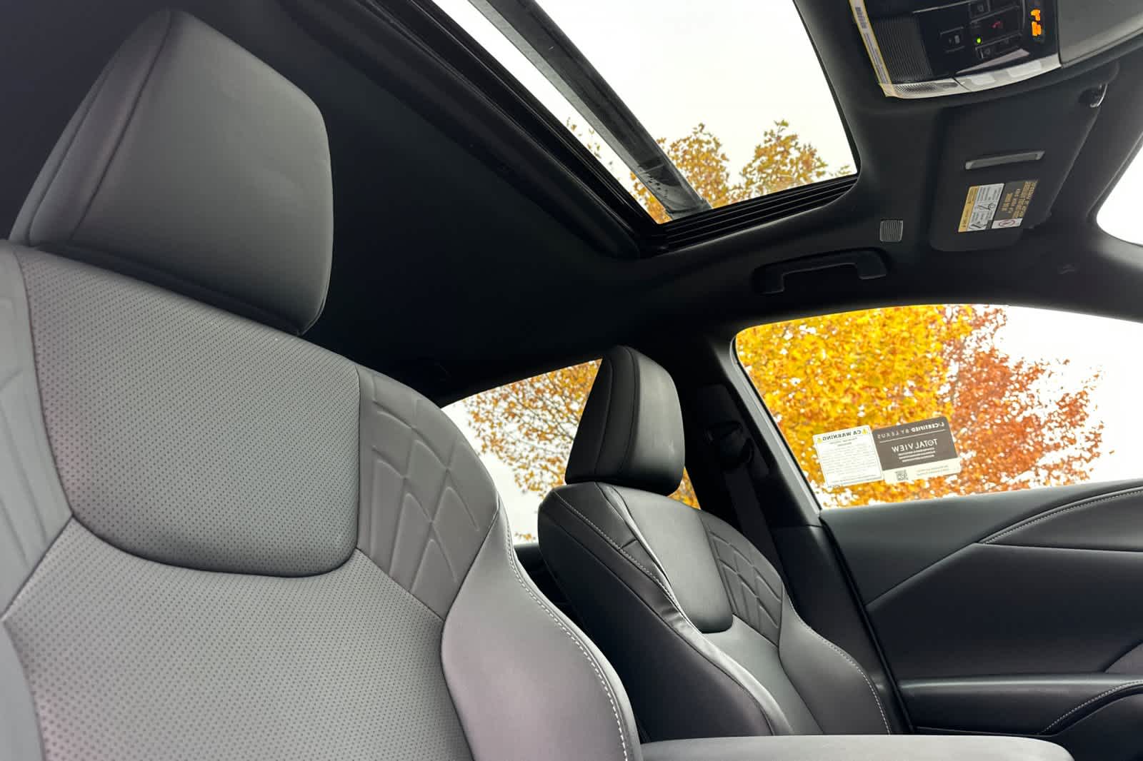 Thumbnail: 2025 Lexus RX - 18