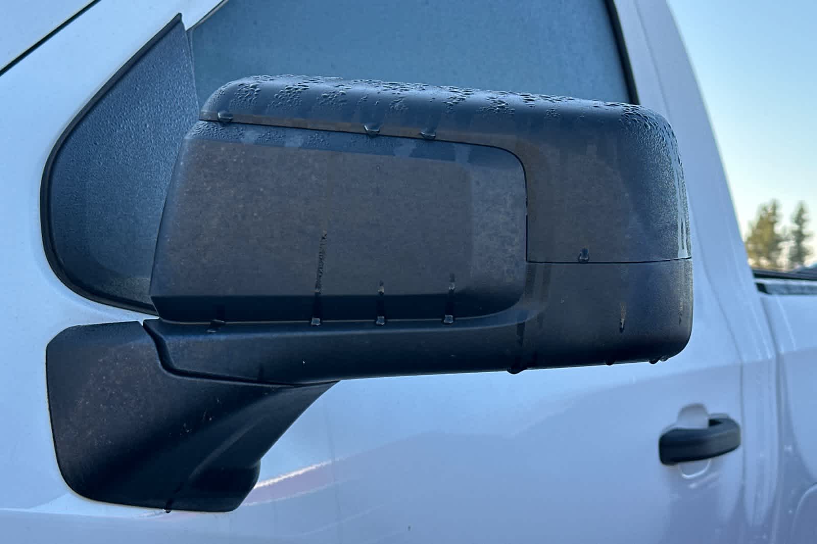 Thumbnail: 2020 Chevrolet Silverado 1500 - 20