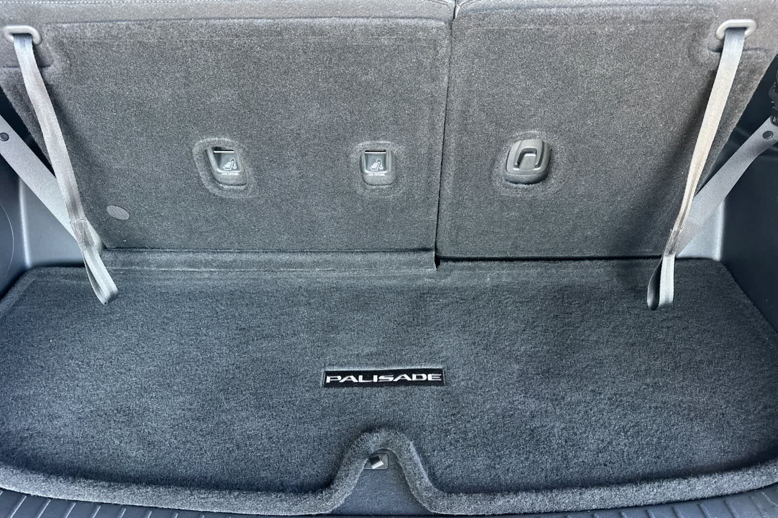 Thumbnail: 2024 Hyundai Palisade - 16