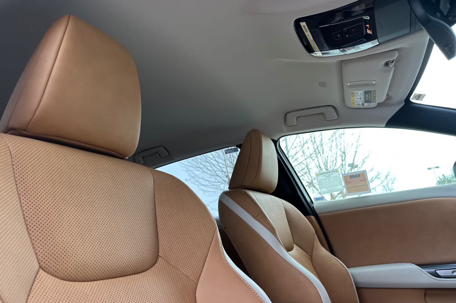 Thumbnail: 2026 Lexus RZ - 18