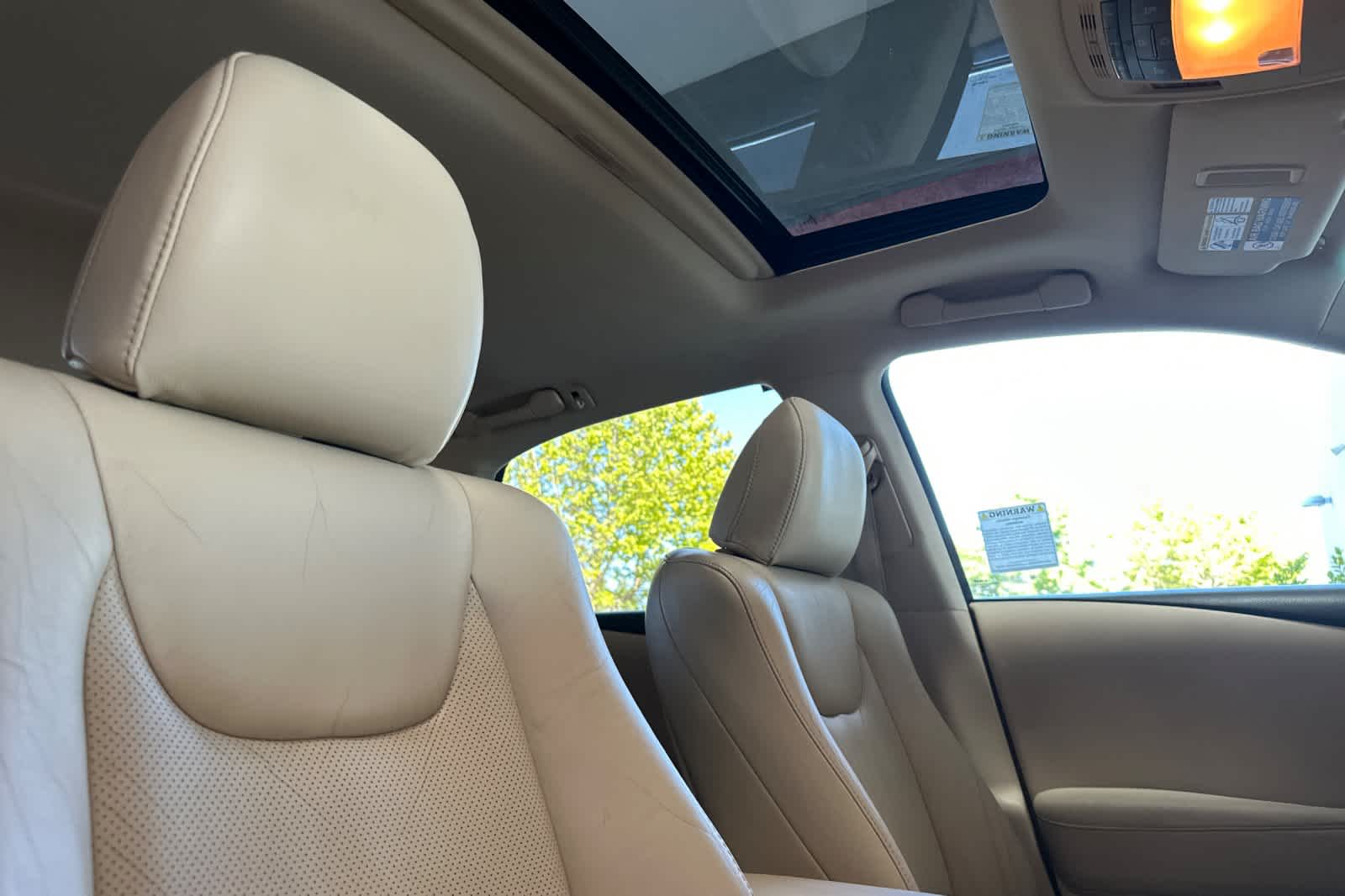Thumbnail: 2010 Lexus RX - 18