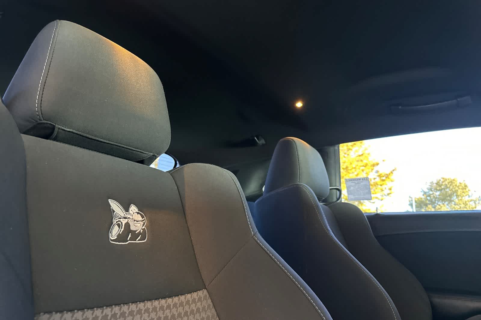 Thumbnail: 2019 Dodge Challenger - 17