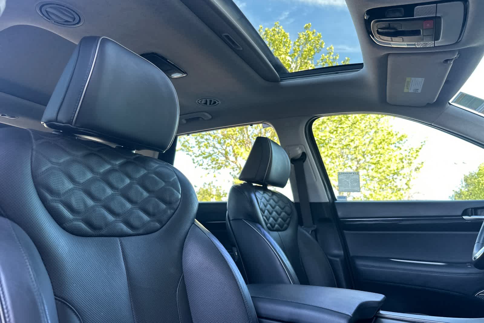 Thumbnail: 2022 Hyundai Palisade - 19