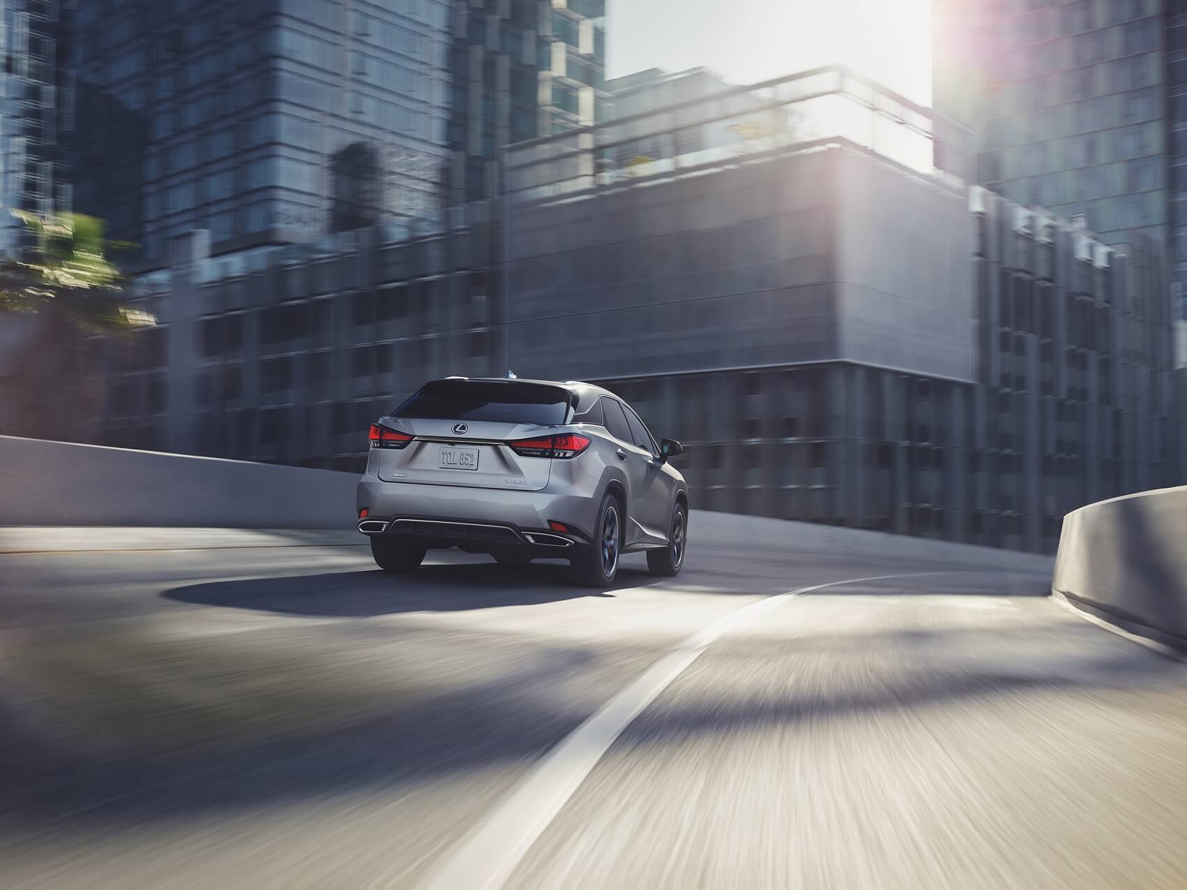 Our Lexus Lineup
