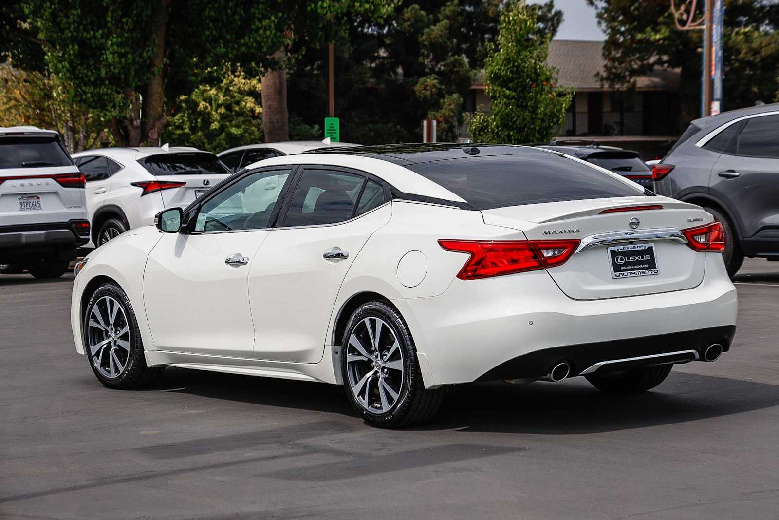 2017 Nissan Maxima Platinum photo 2