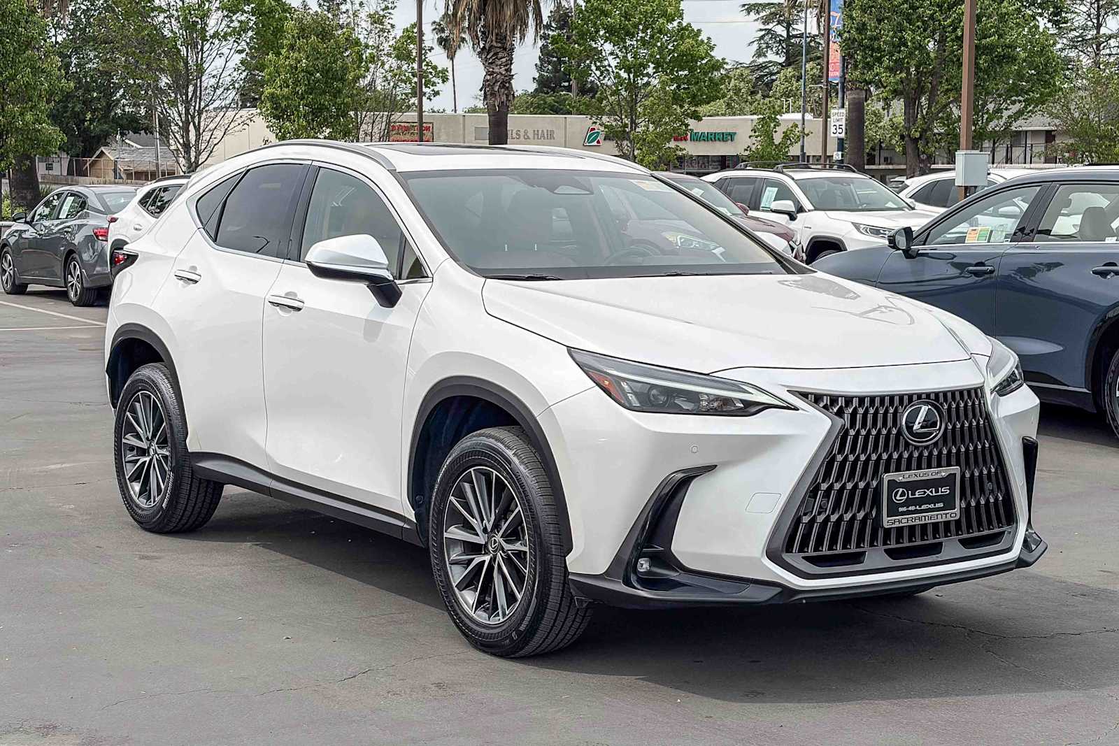 2024 LEXUS NX 350h Premium photo 4